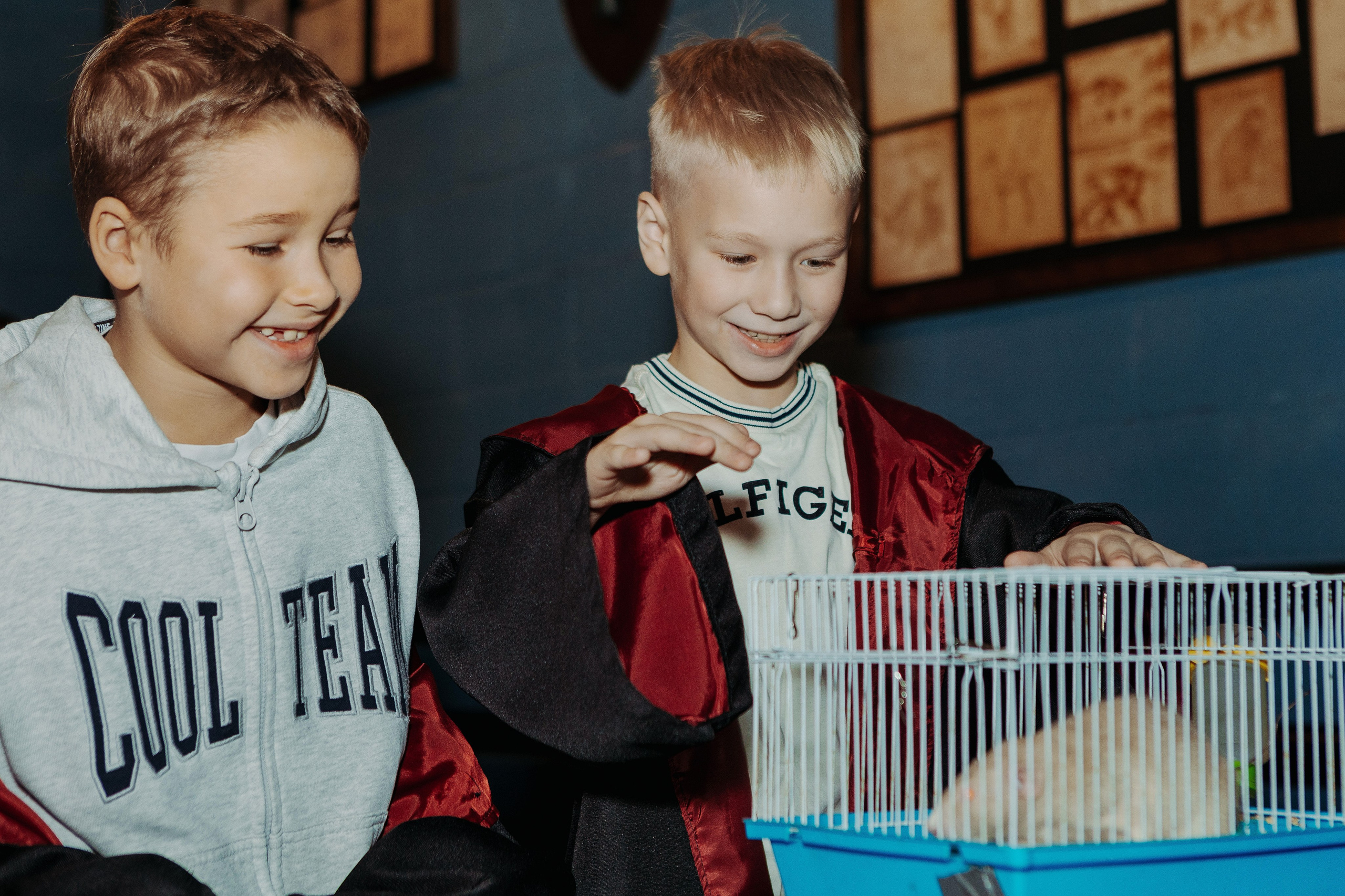 День рождения в стиле Гарри Поттера. Фотограф в Красноярске по выгодной цене