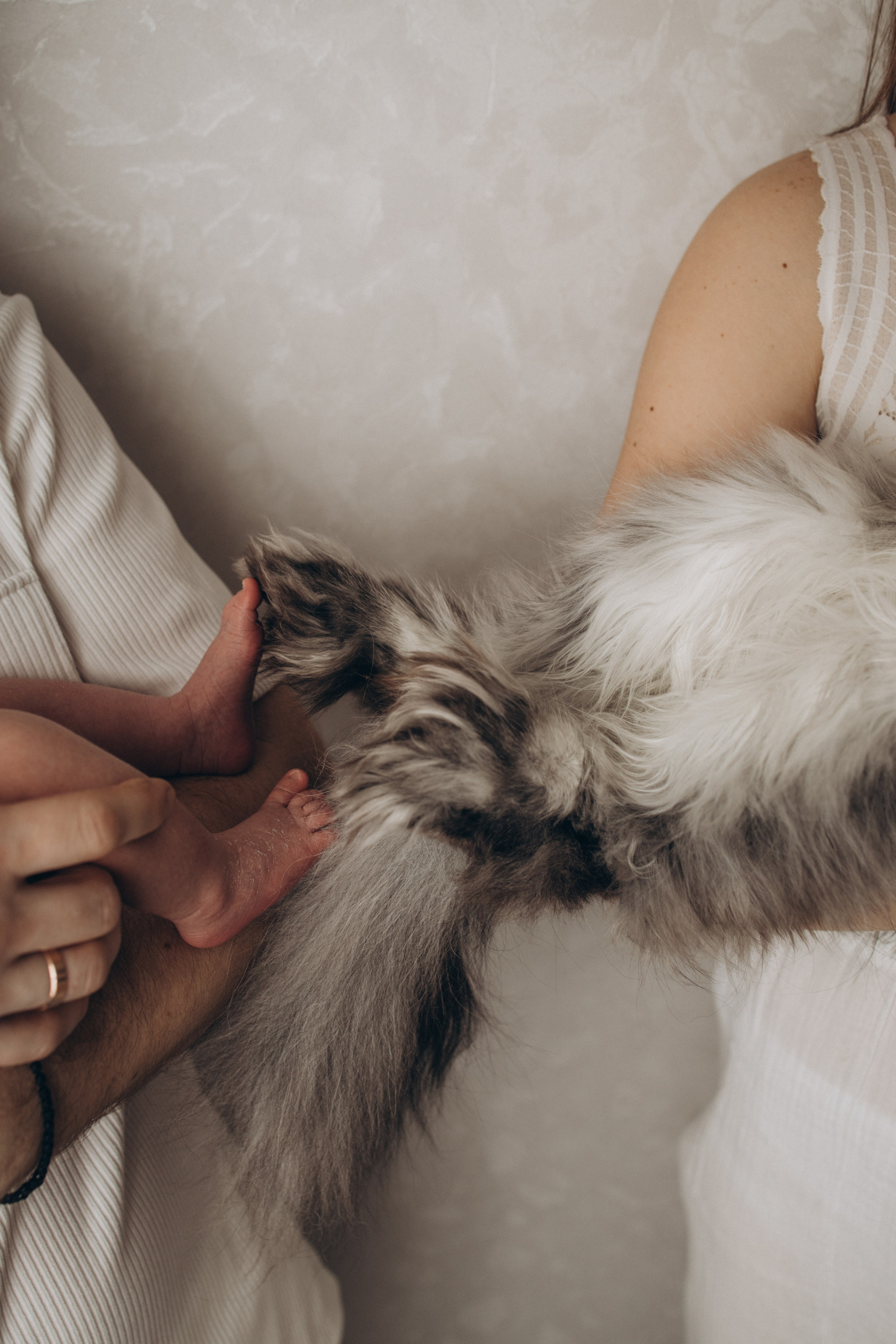 Дея. Детский и семейный фотограф в Пушкино, Мытищи, Москва Сергеева Светлана