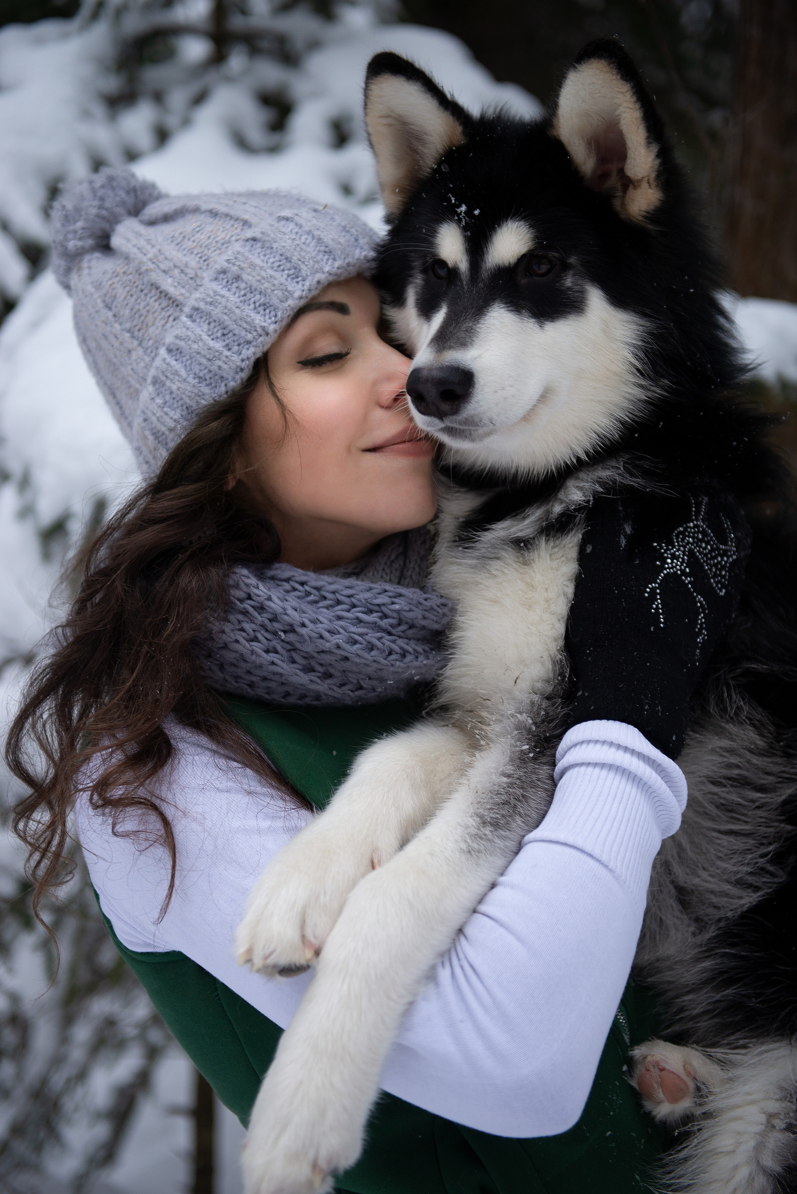 Зимний лес прекрасен. Творческий фотограф Вологда