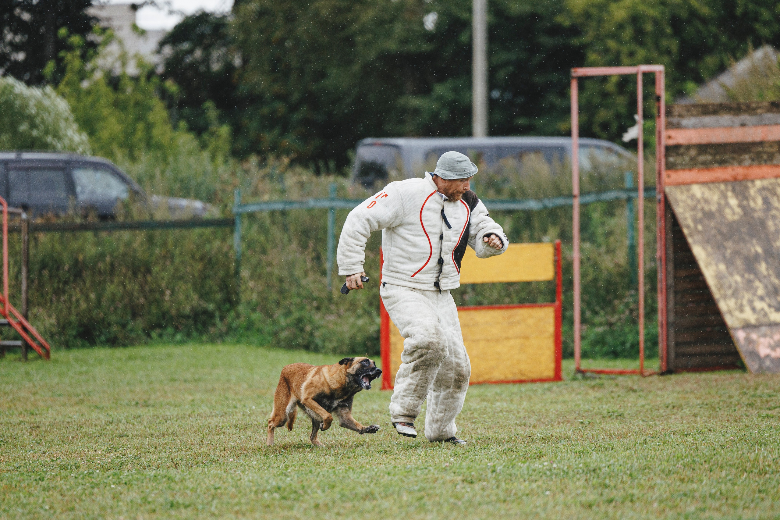 08.08.25-10.08.25 ЧР по мондьорингу г. Вологда. Фотограф-анималист Анна Маринич