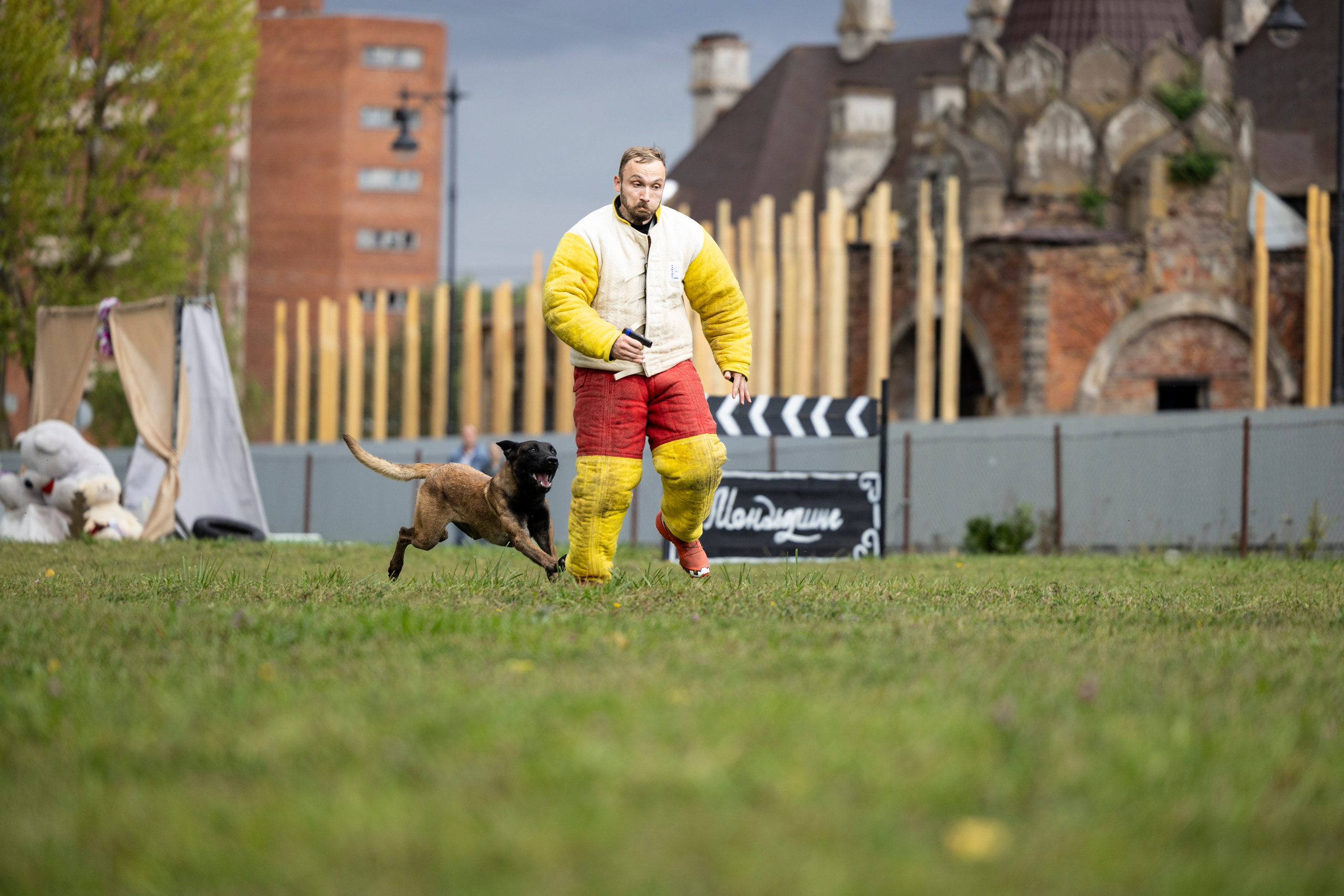 Испытания по Мондьорингу г. Пушкин. Фотограф-анималист Анна Маринич