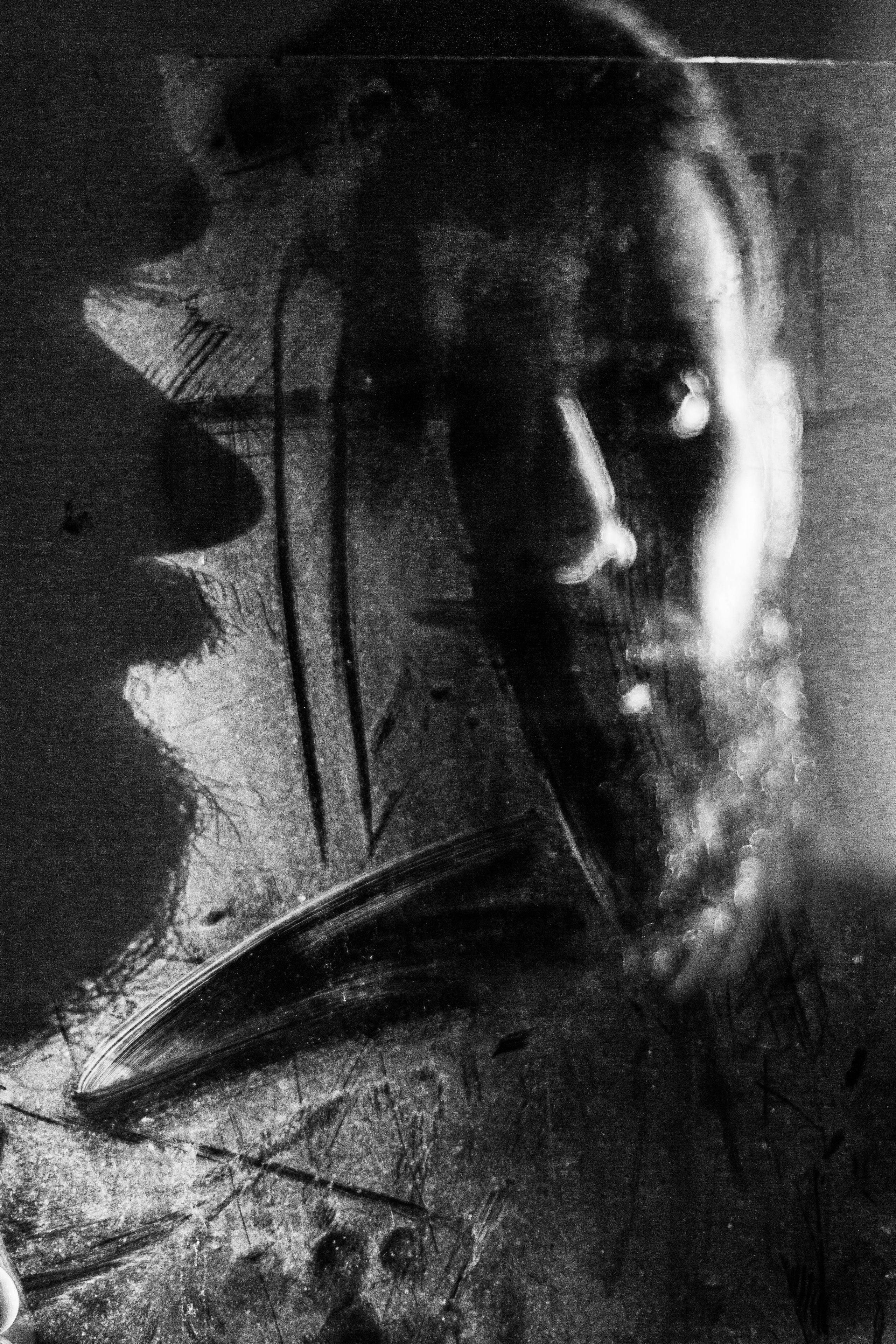 Курс «БОЛЬШОЙ И ГРОМКИЙ!». Университет по фотографии Игоря Мальцева