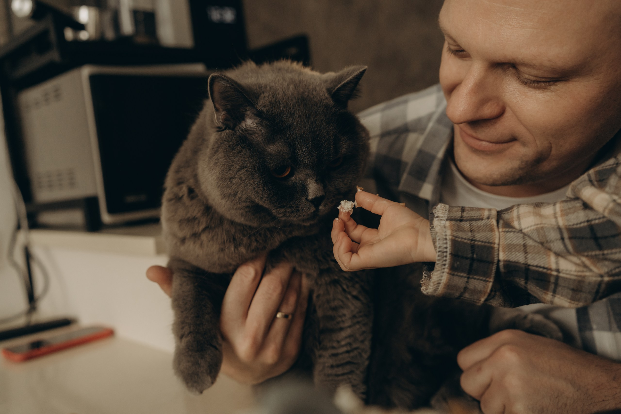 Федя 2 годика. Фотограф Дарья Титова