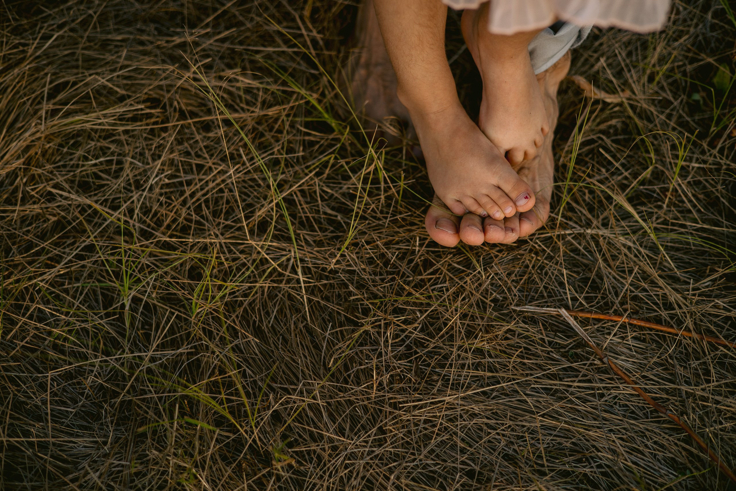 Добрая семейная история