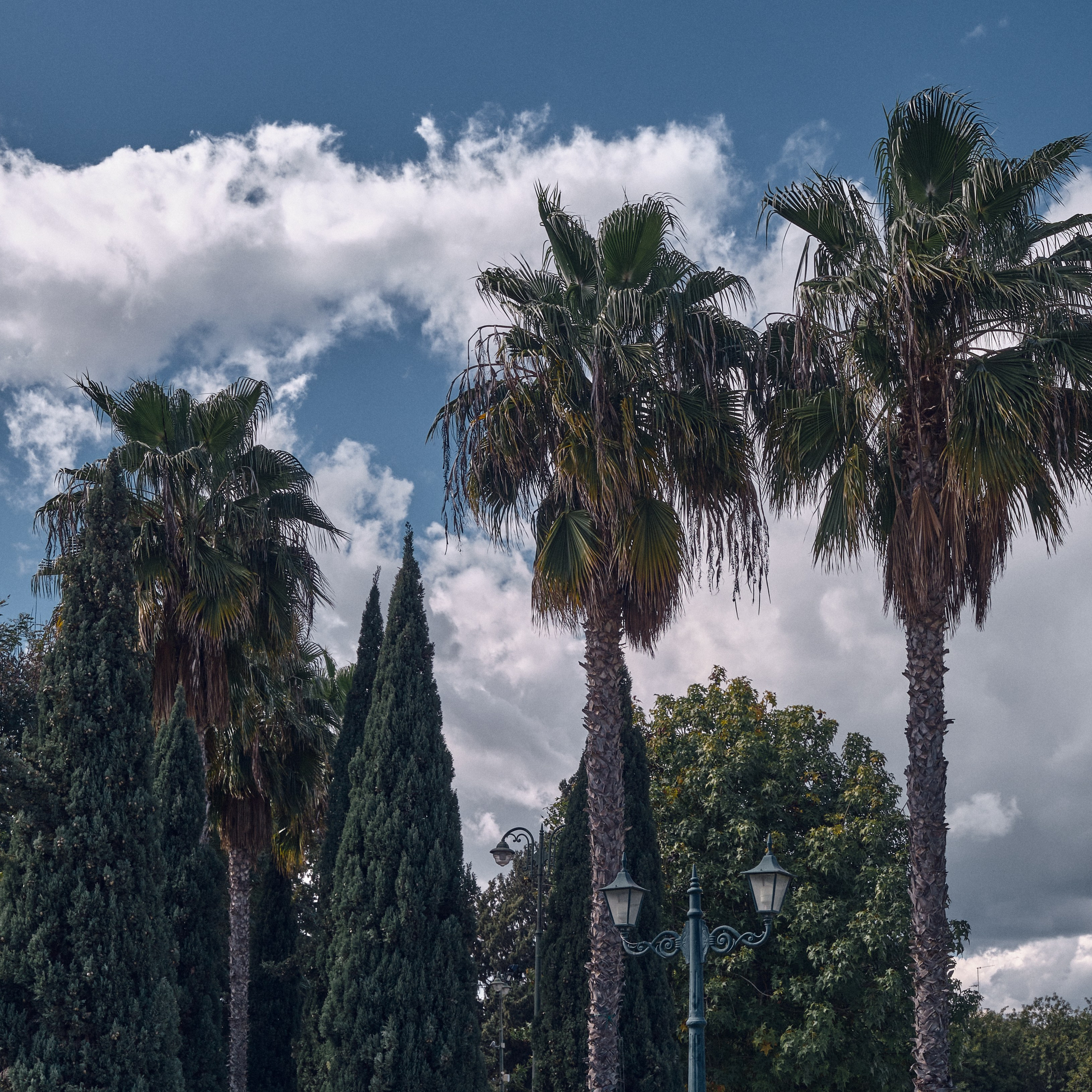 Cyprus 2024 / march. Aleksandr Kobtsev