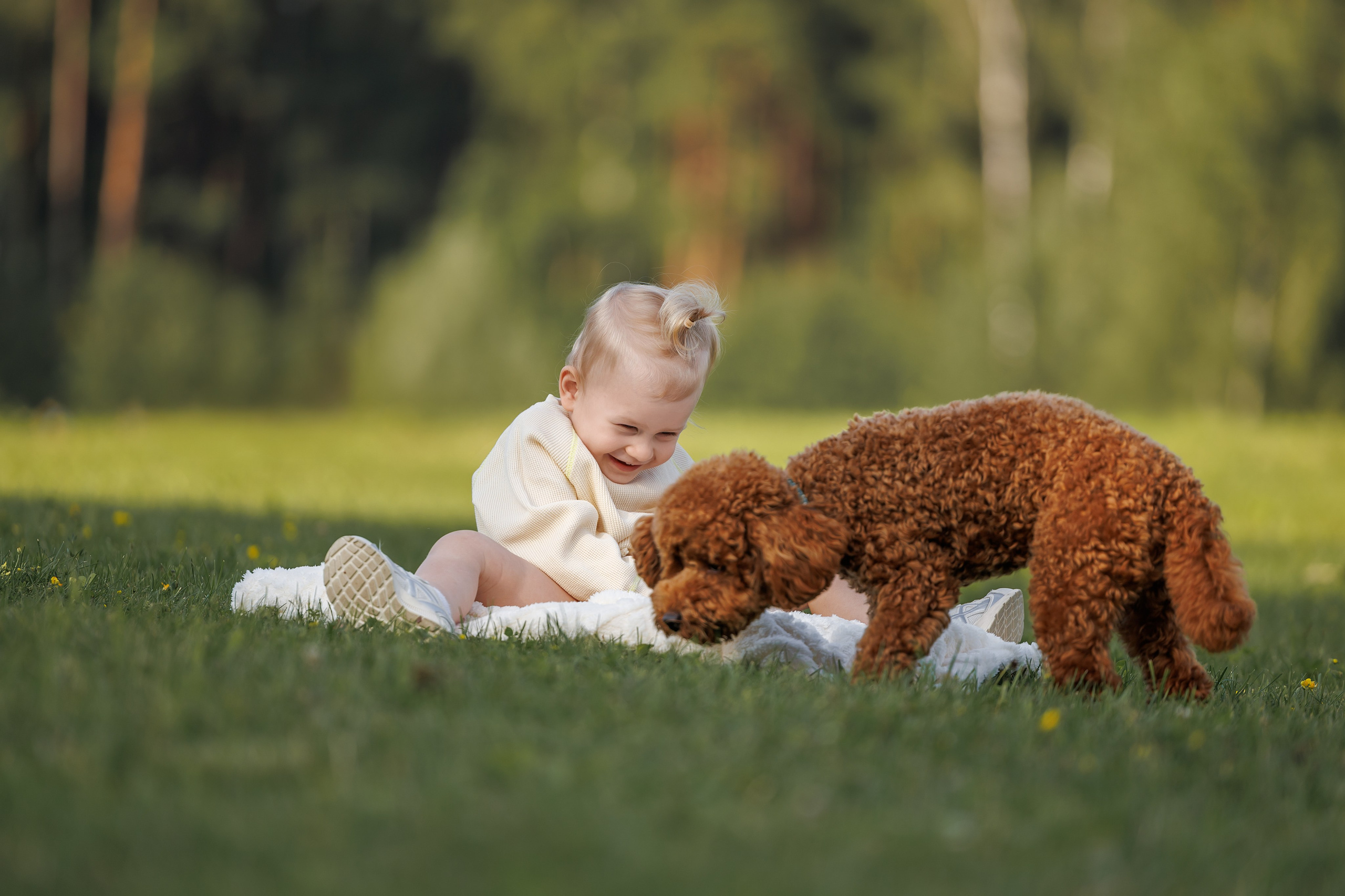 Лариса и Джек. Фотограф Анималист в Москве Анастасия Жучкова