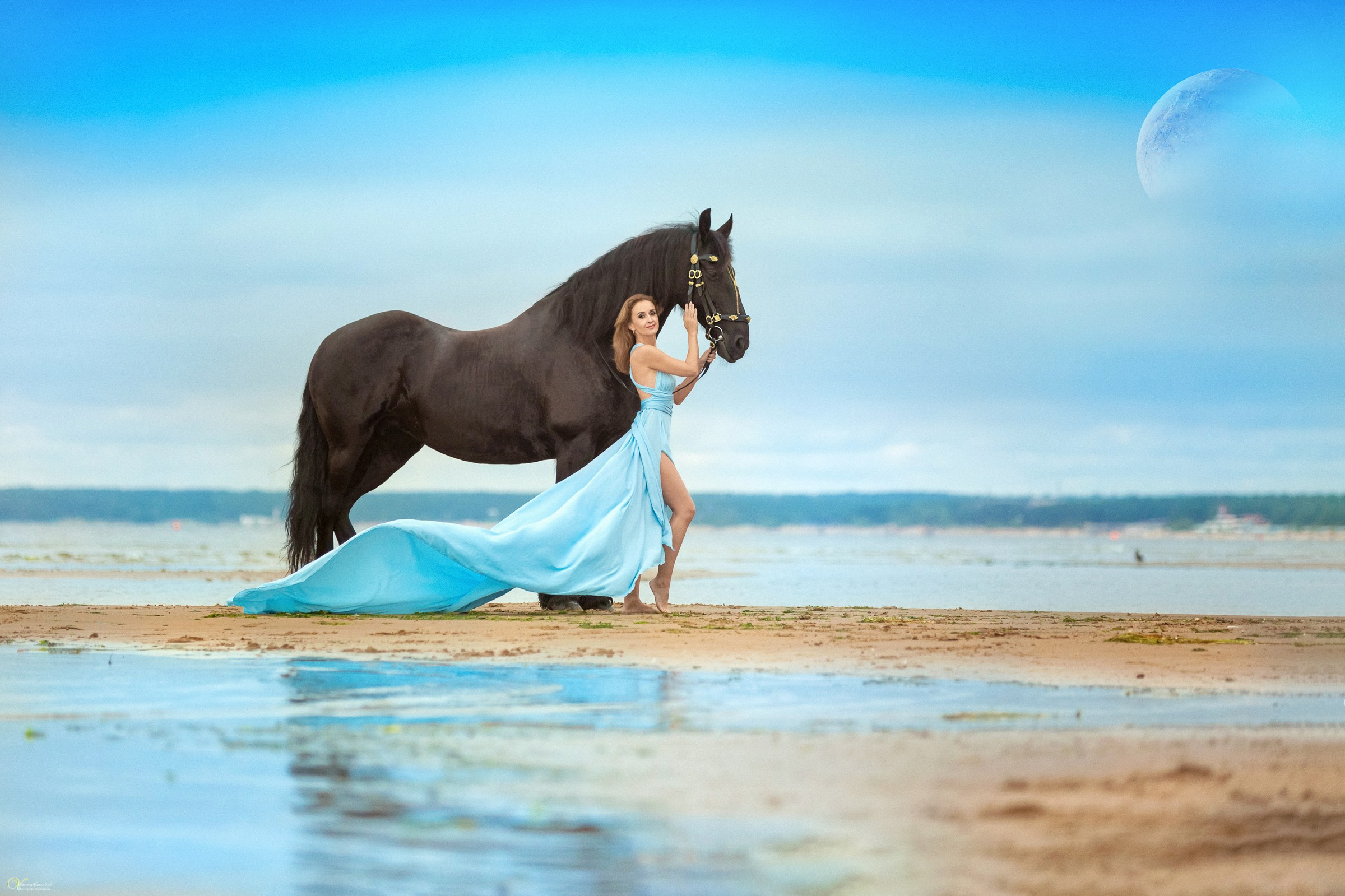 Фотосессии с лошадьми летом. Фотограф женский и мужской портрет Санкт-Петербург