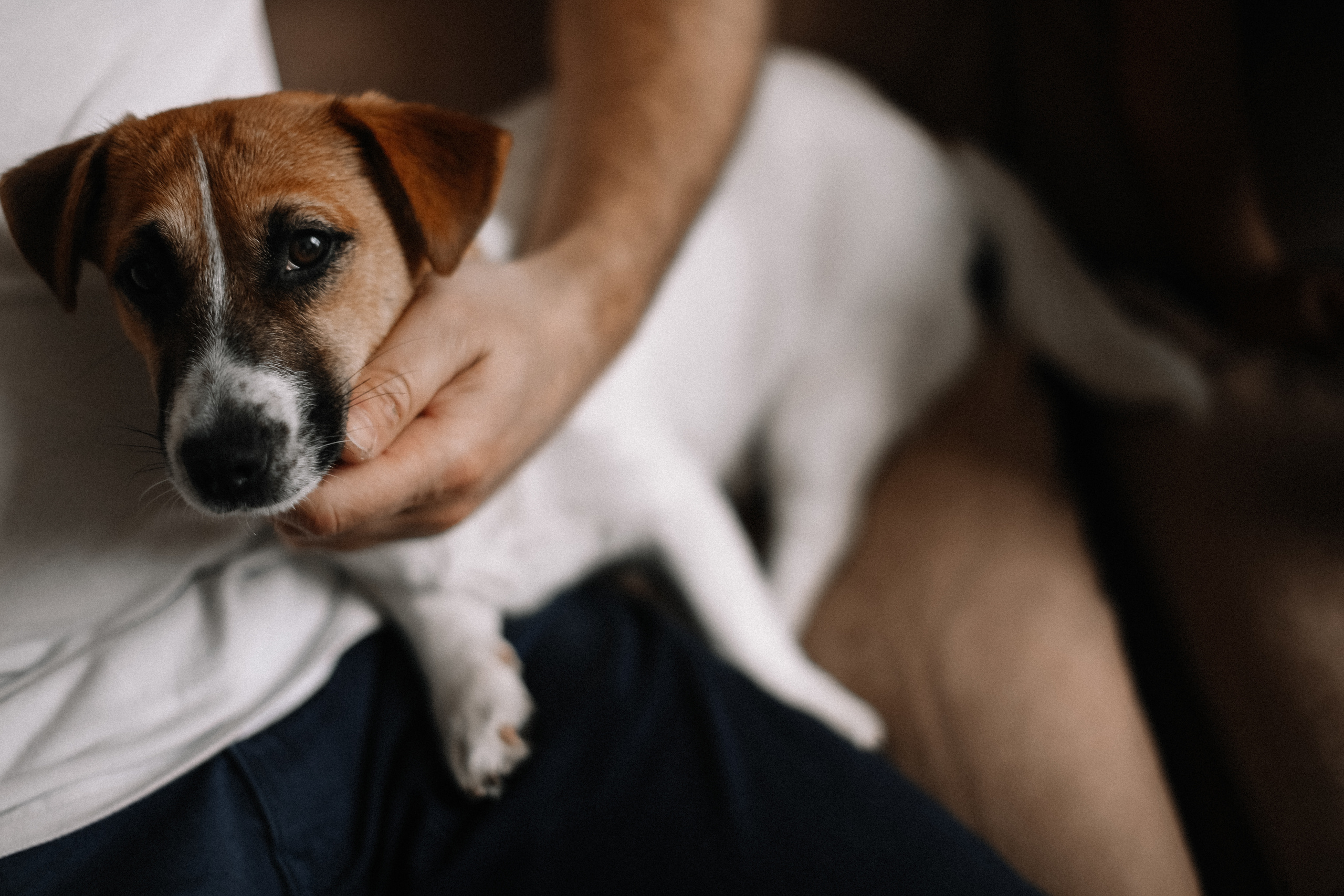 Ксения, Варя, Ульяна, Маша и Сергей. Свадебный и семейный Фотограф Денис Кошель