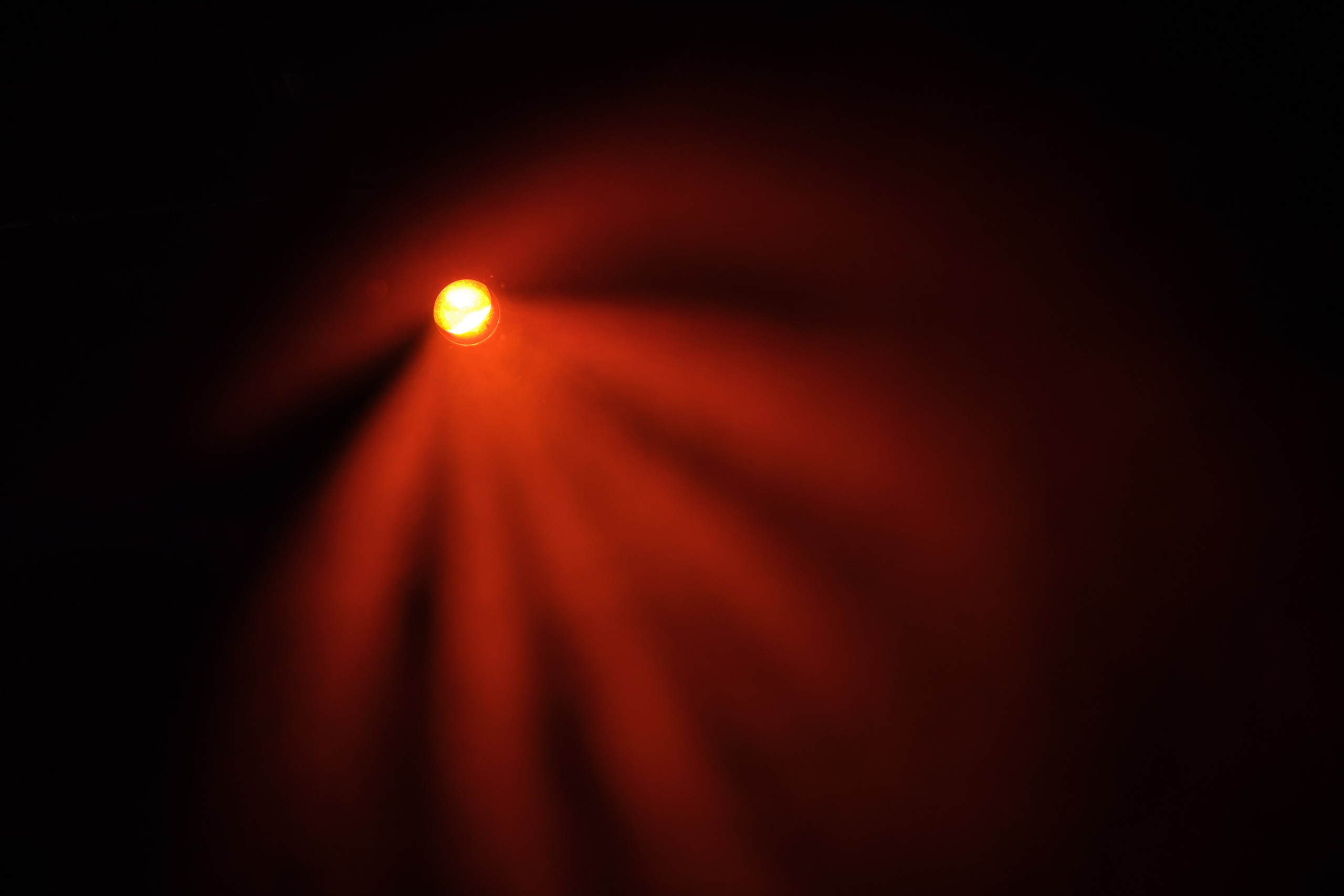 Пушной 2024. Главная