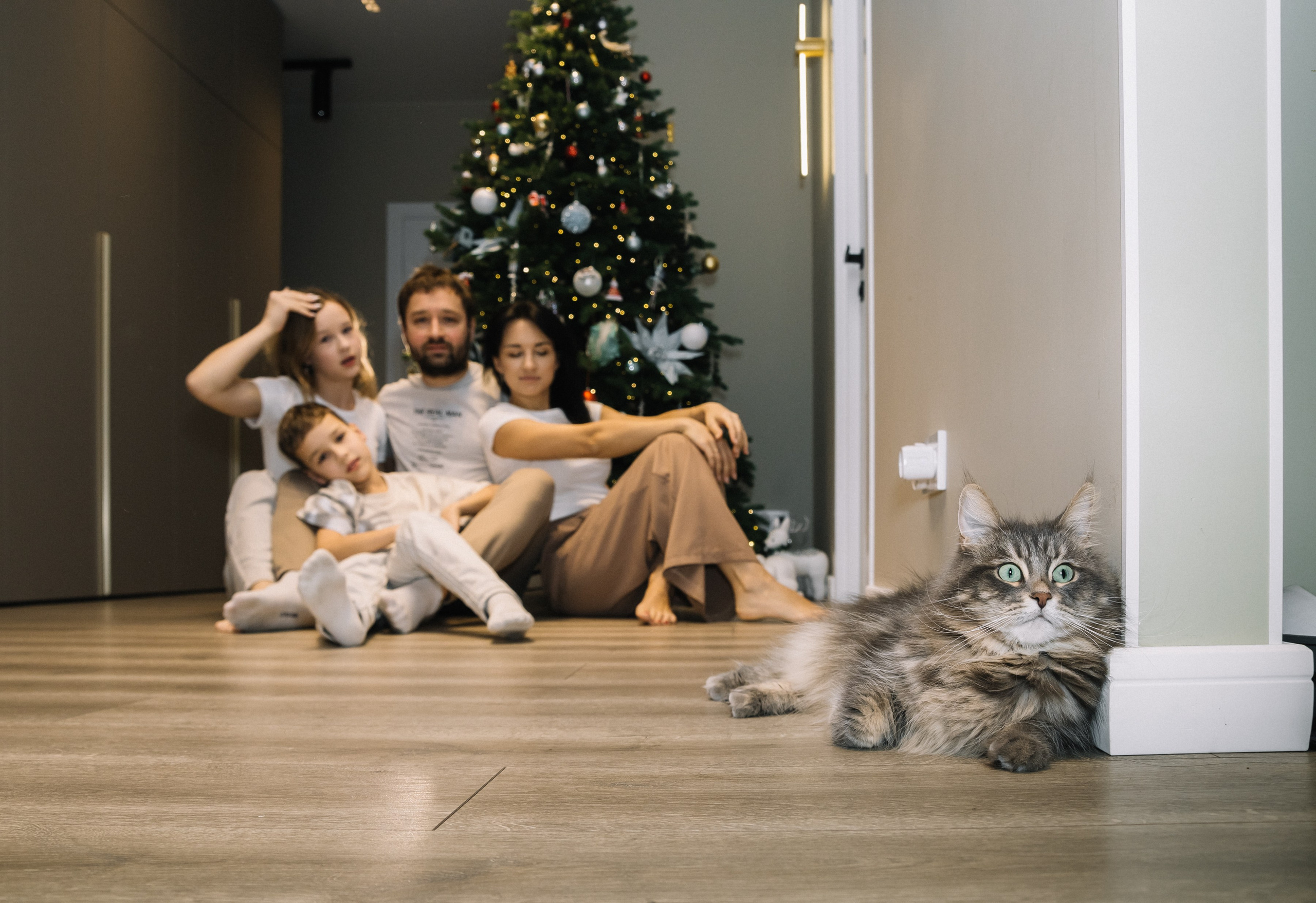 Семейная новогодняя. Семейный фотограф, свадебный фотограф, женский портрет в Санкт-Петербу