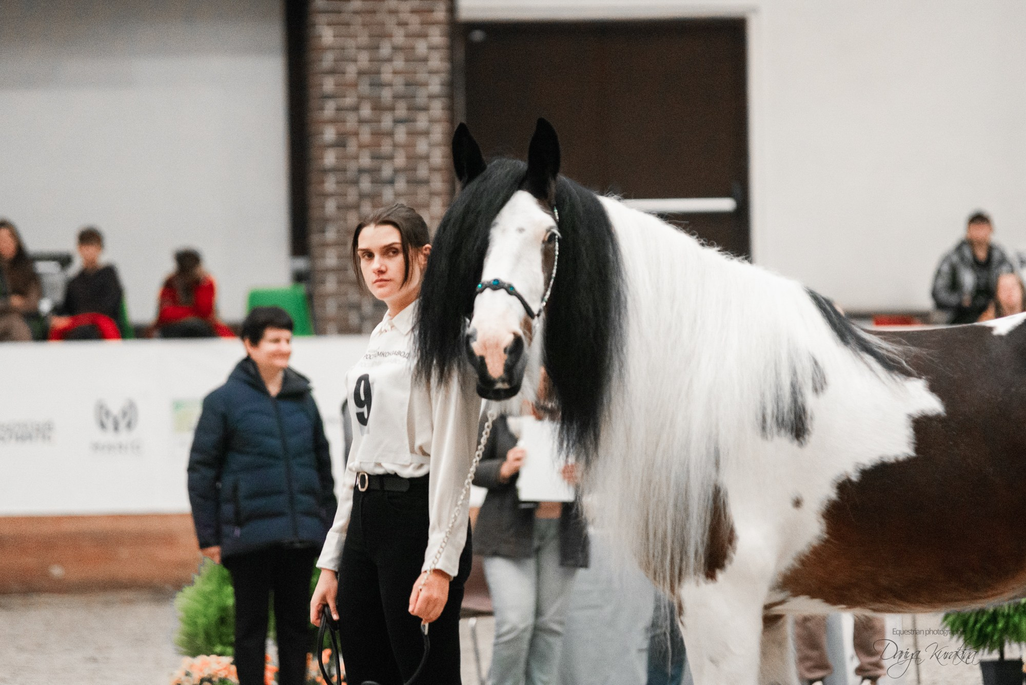 8-я международная выставка Конная Россия. Конный фотограф Куракина Дарья • Фотосессии с лошадьми