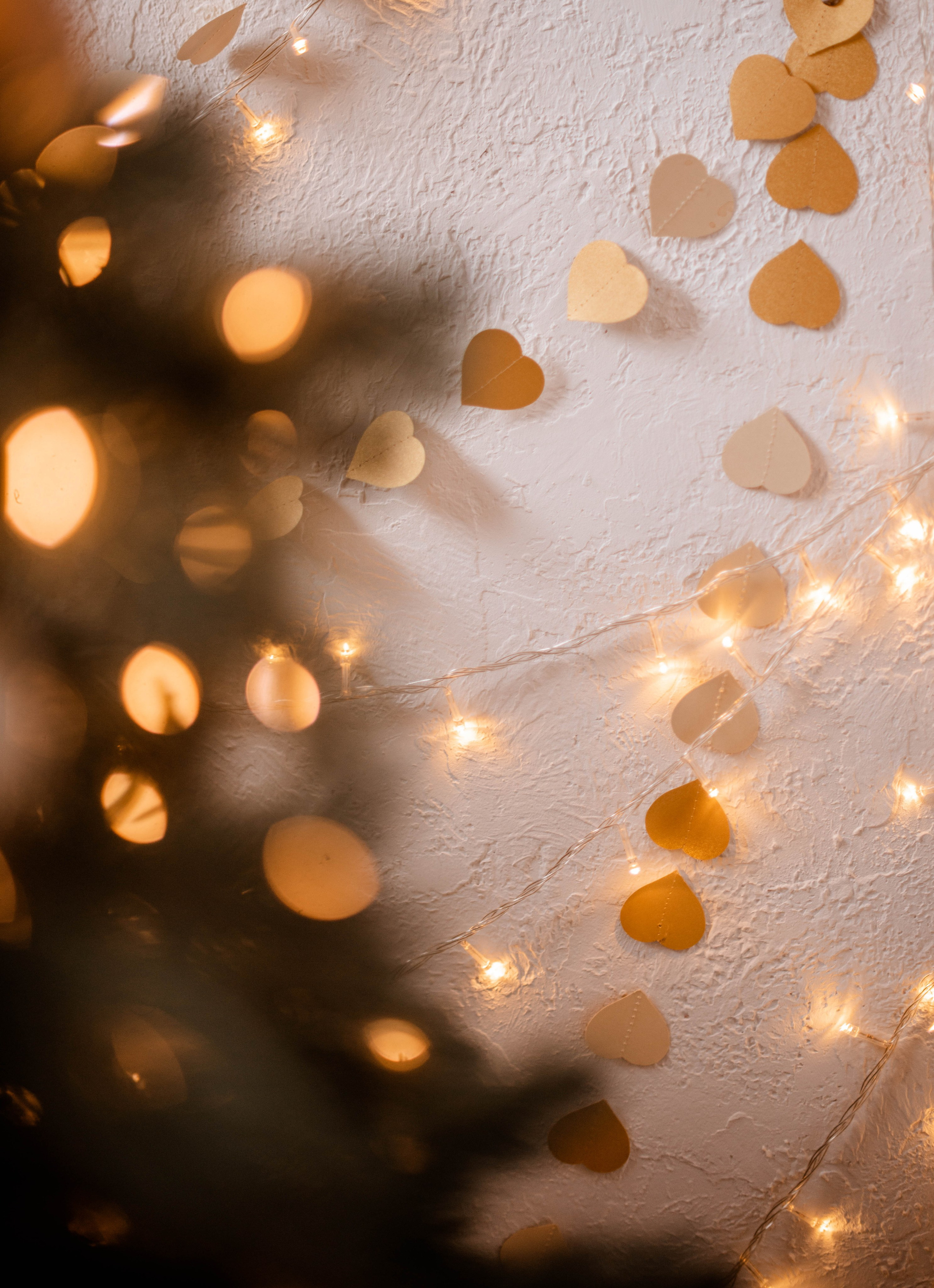 Семья. Свадебный Фотограф в Твери Анастасия Булкина