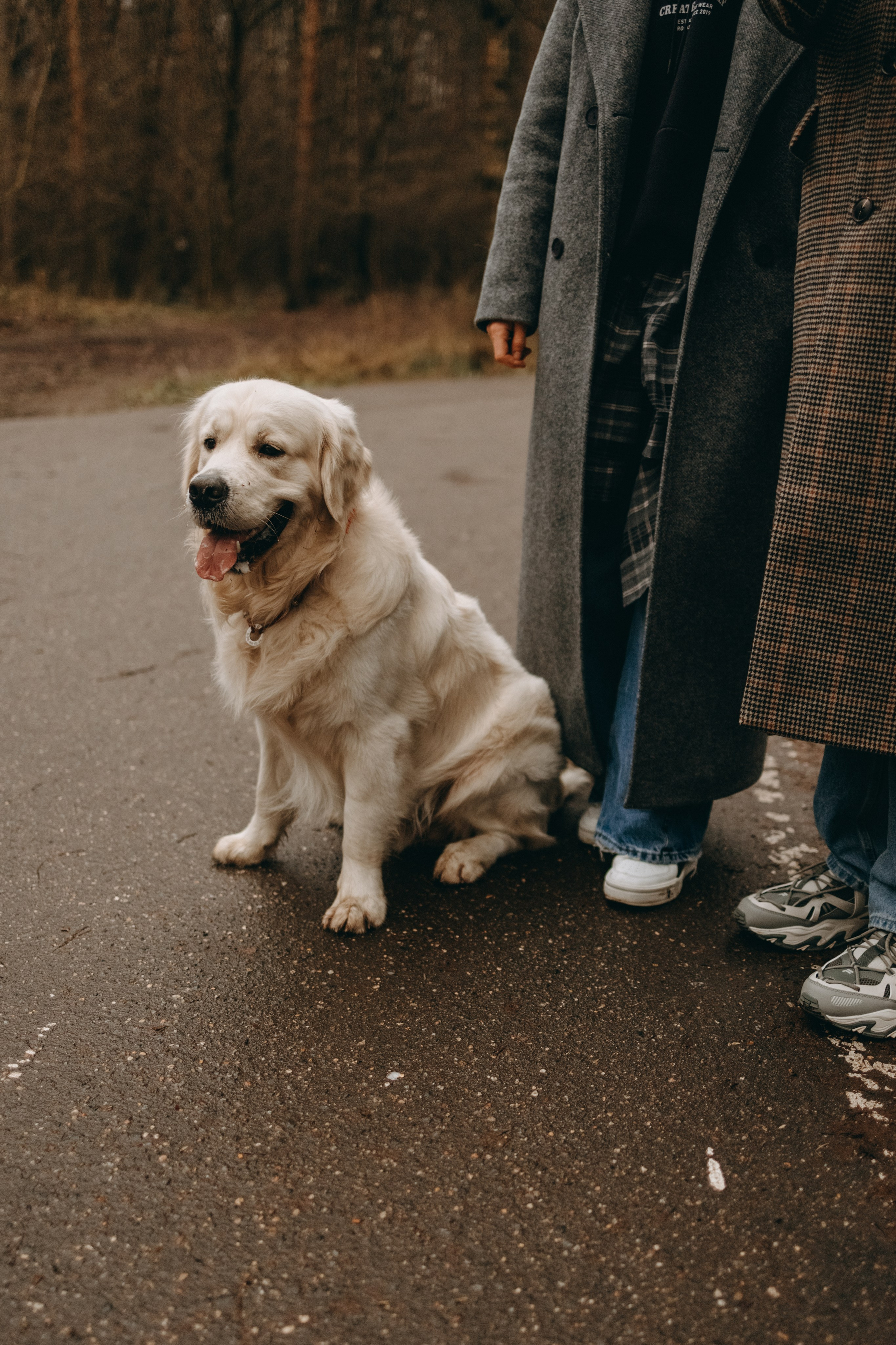 Лаки и его семья. Фотограф — Анималист | Санкт-Петербург