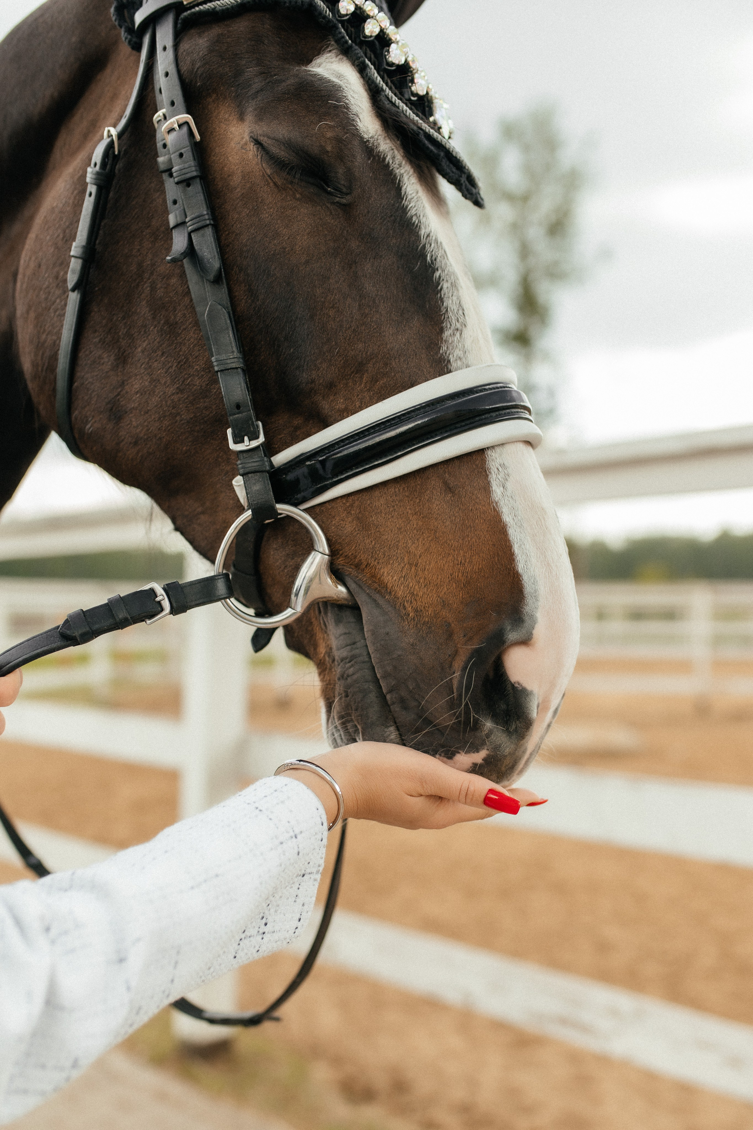 Конная прогулка. Тома и Кеша. Профессиональный фотограф, Москва |Видное Елена Елизарова