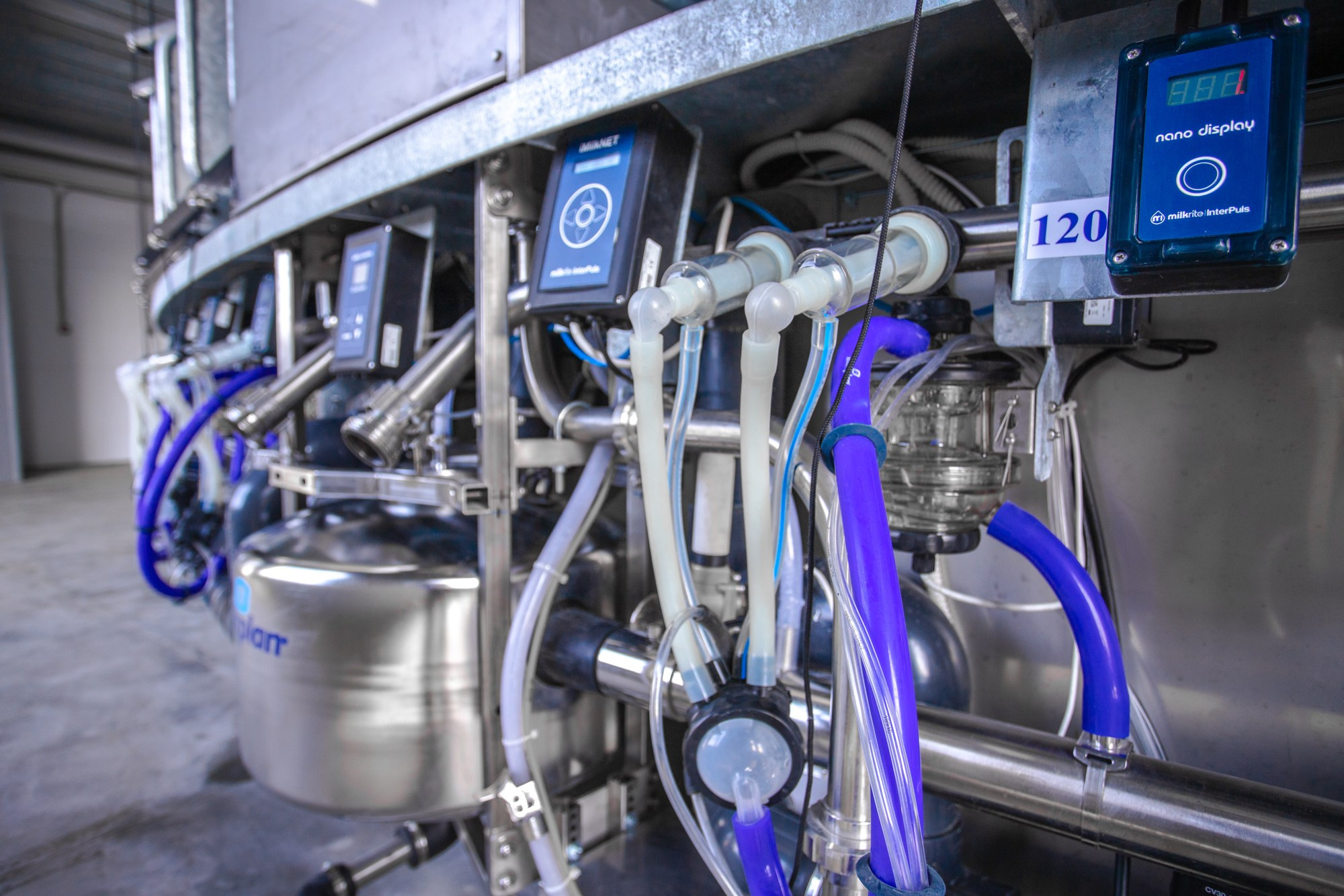 Открытие карусели для дойки скота. Репортажный, промышленный и маркетплейс-фотограф Дмитрий Чернат