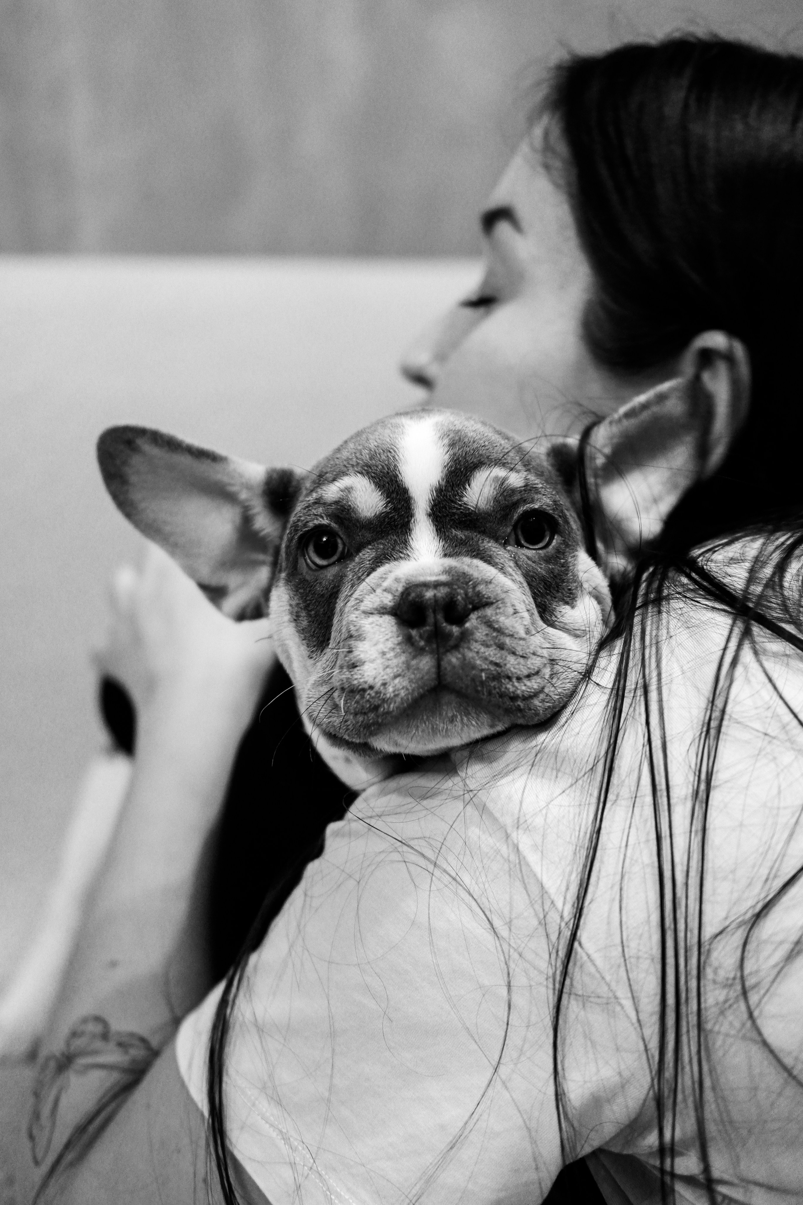 Pets. Фотограф в Москве Daria Lens