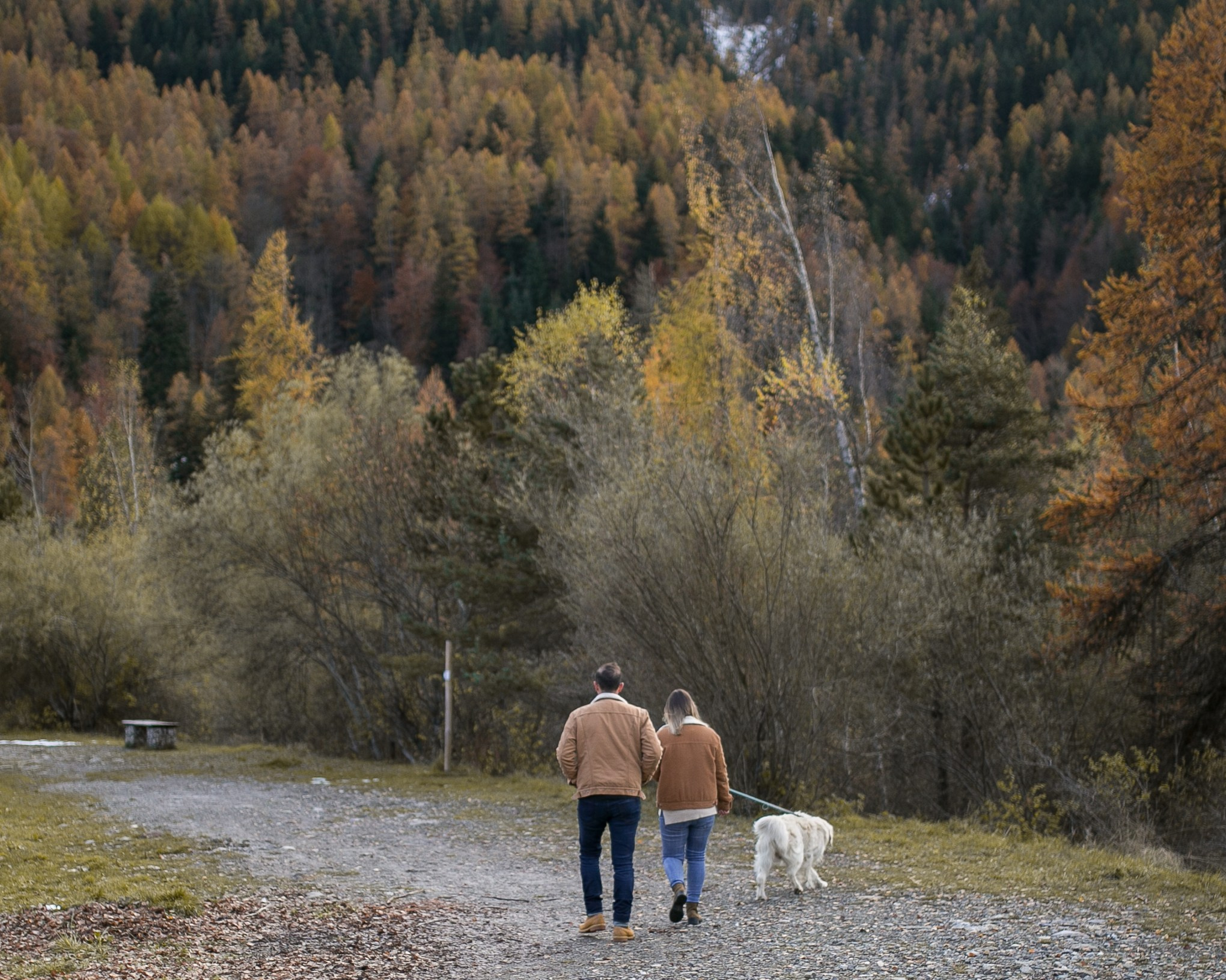 Камий и Максим (и Ральф)