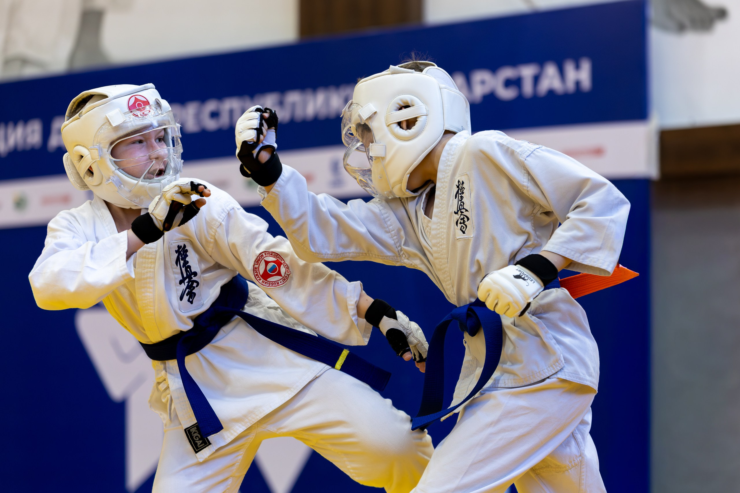 Карате кумите. Главная