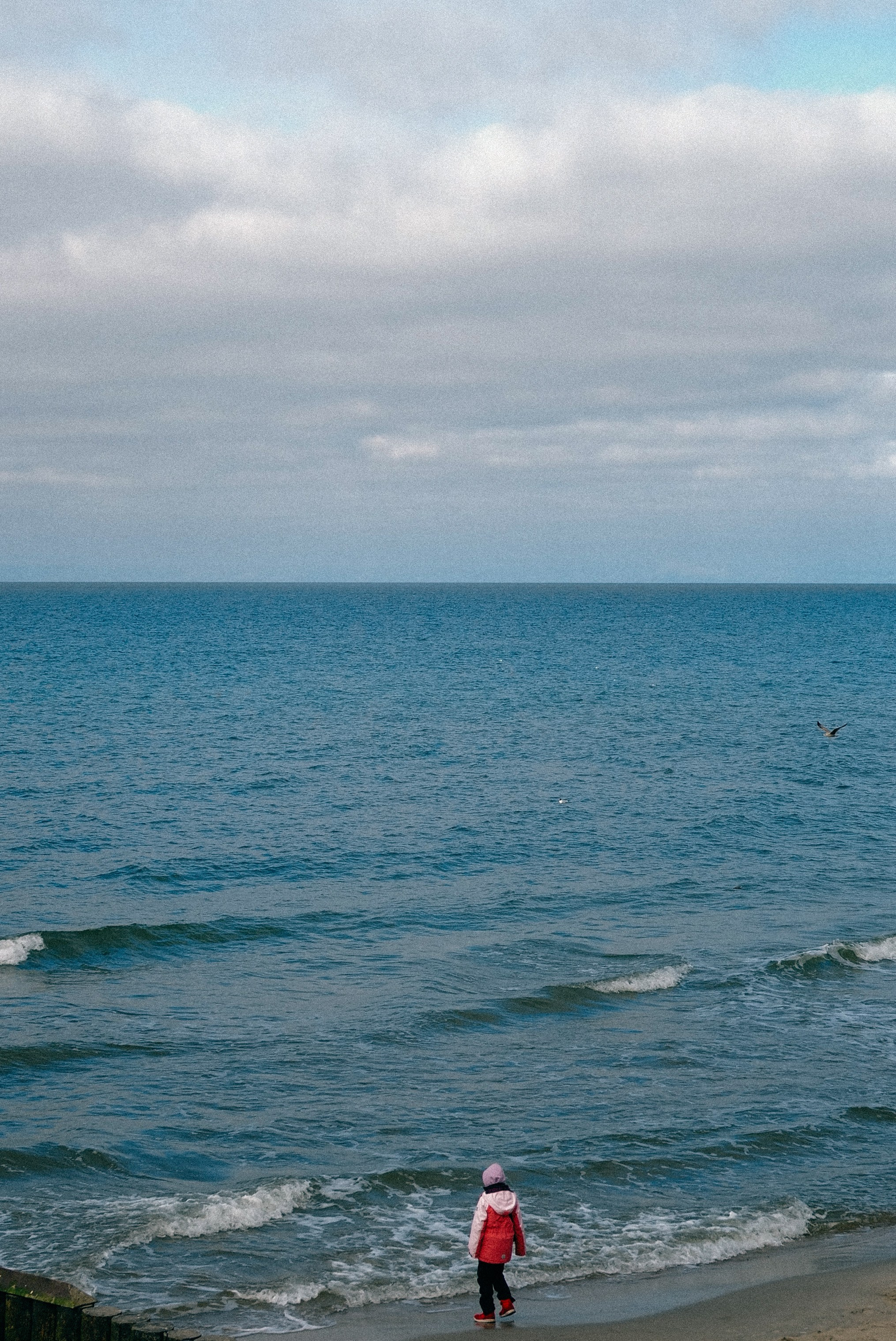 Zelenogradsk. Фотограф София Комкина