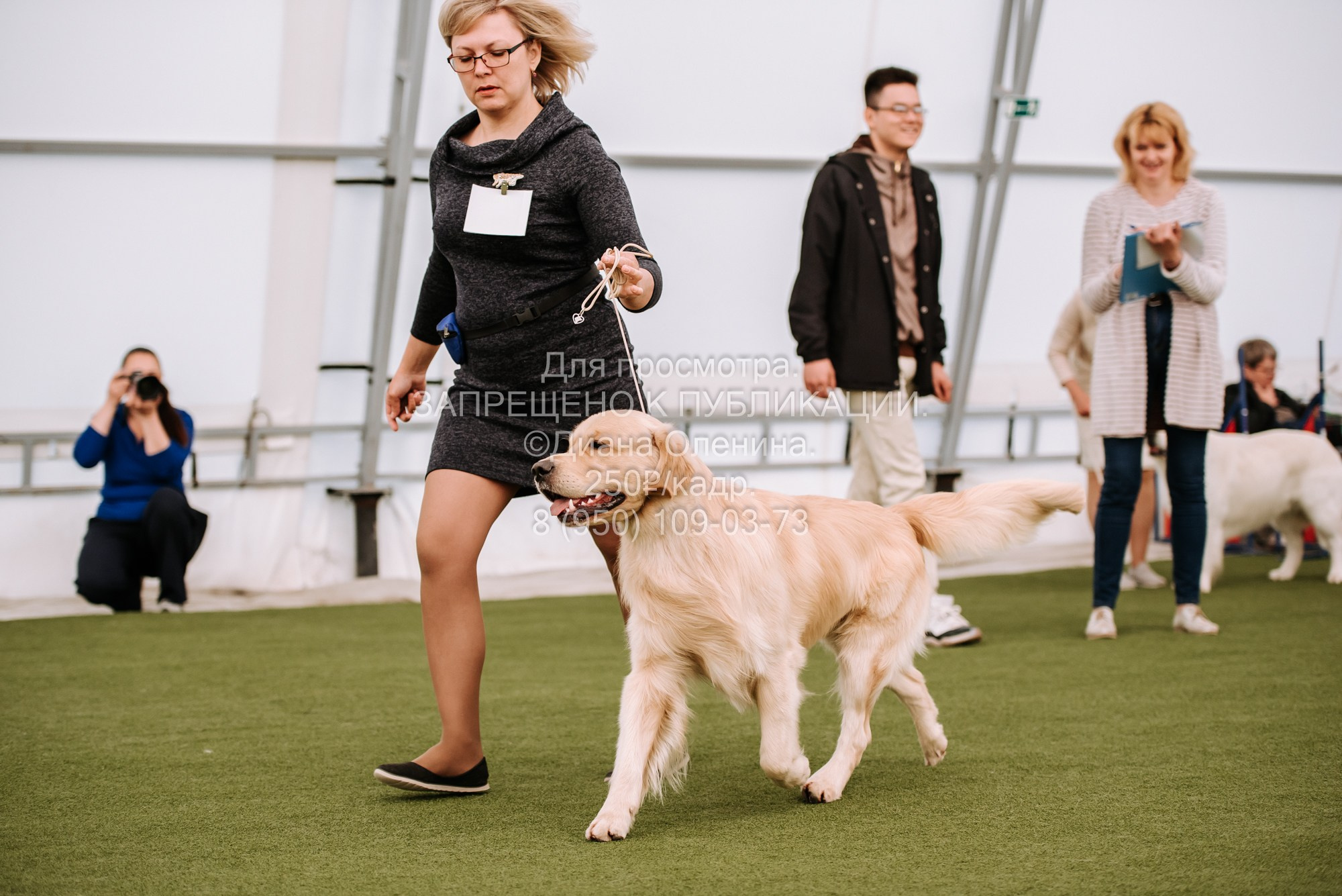 Выставка собак Красноярск 2.06. Фотограф Диана Оленина Красноярск / Братск