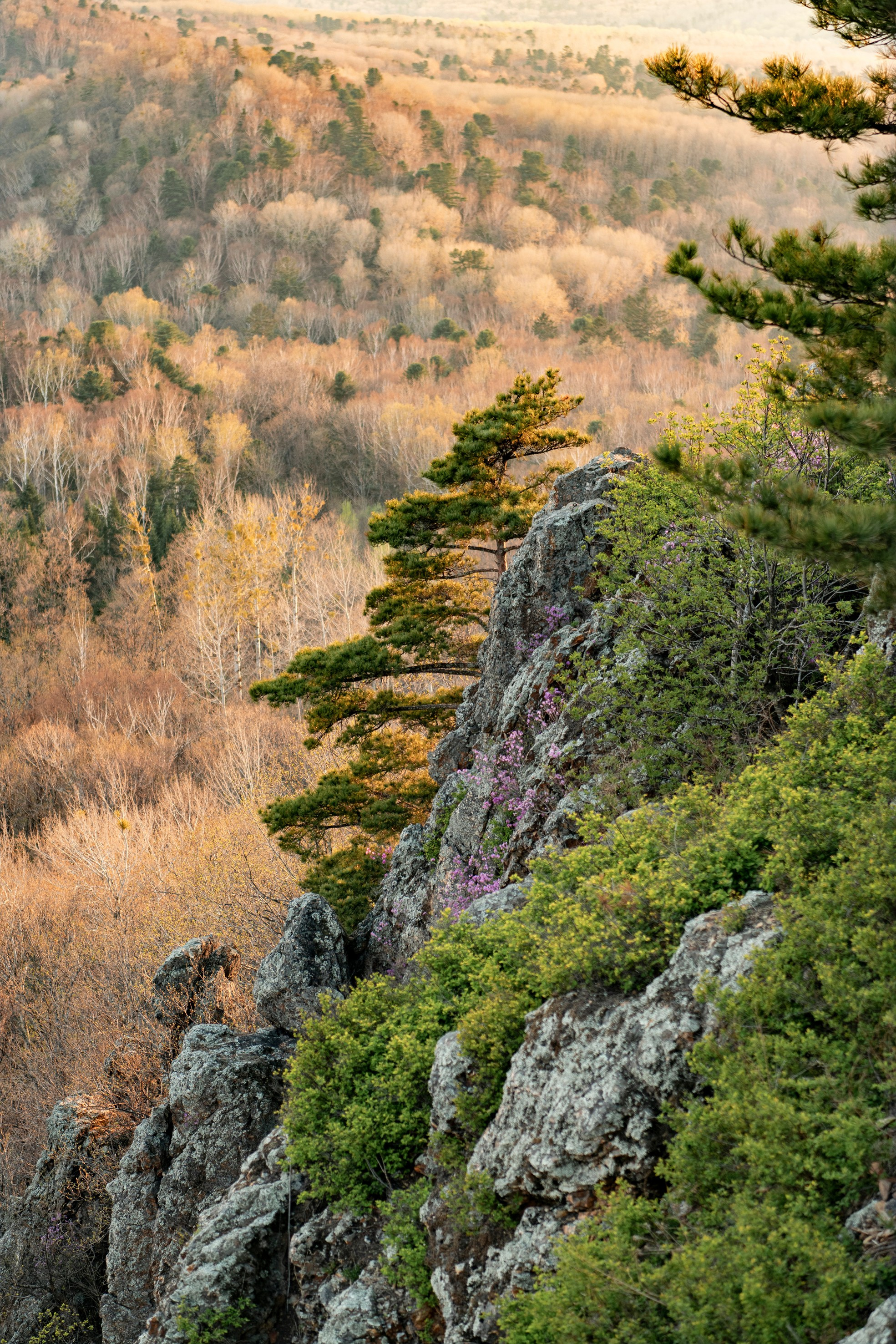 Природа Хабаровского края. Команда фотографов Кристины Ивановой