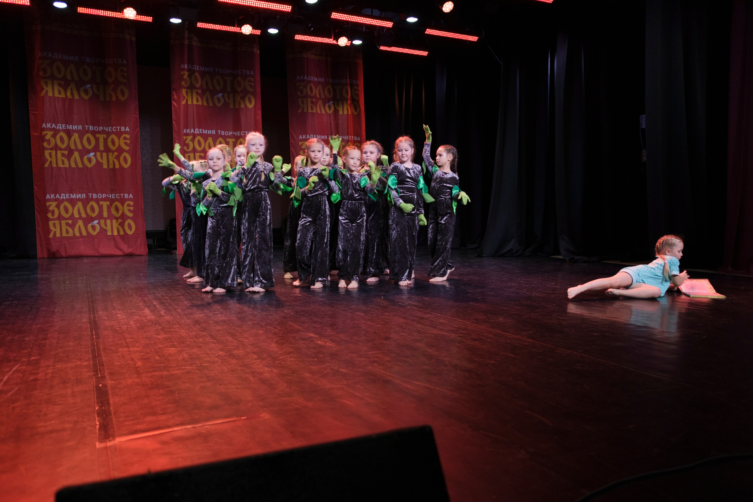 17 ноября, г. Великий Устюг. Золотое яблочко