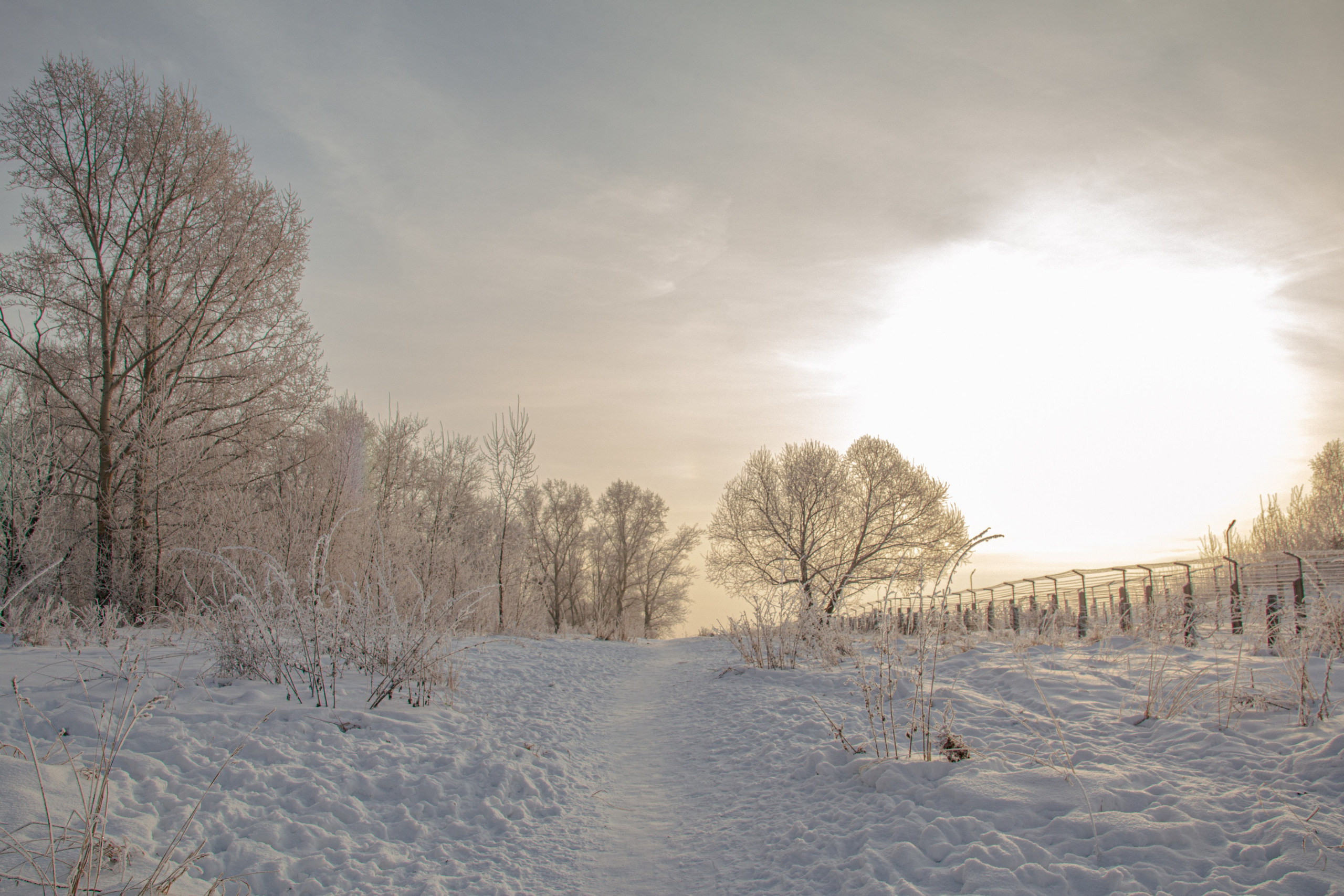 Зима. Ваш фотограф Северск | Томск