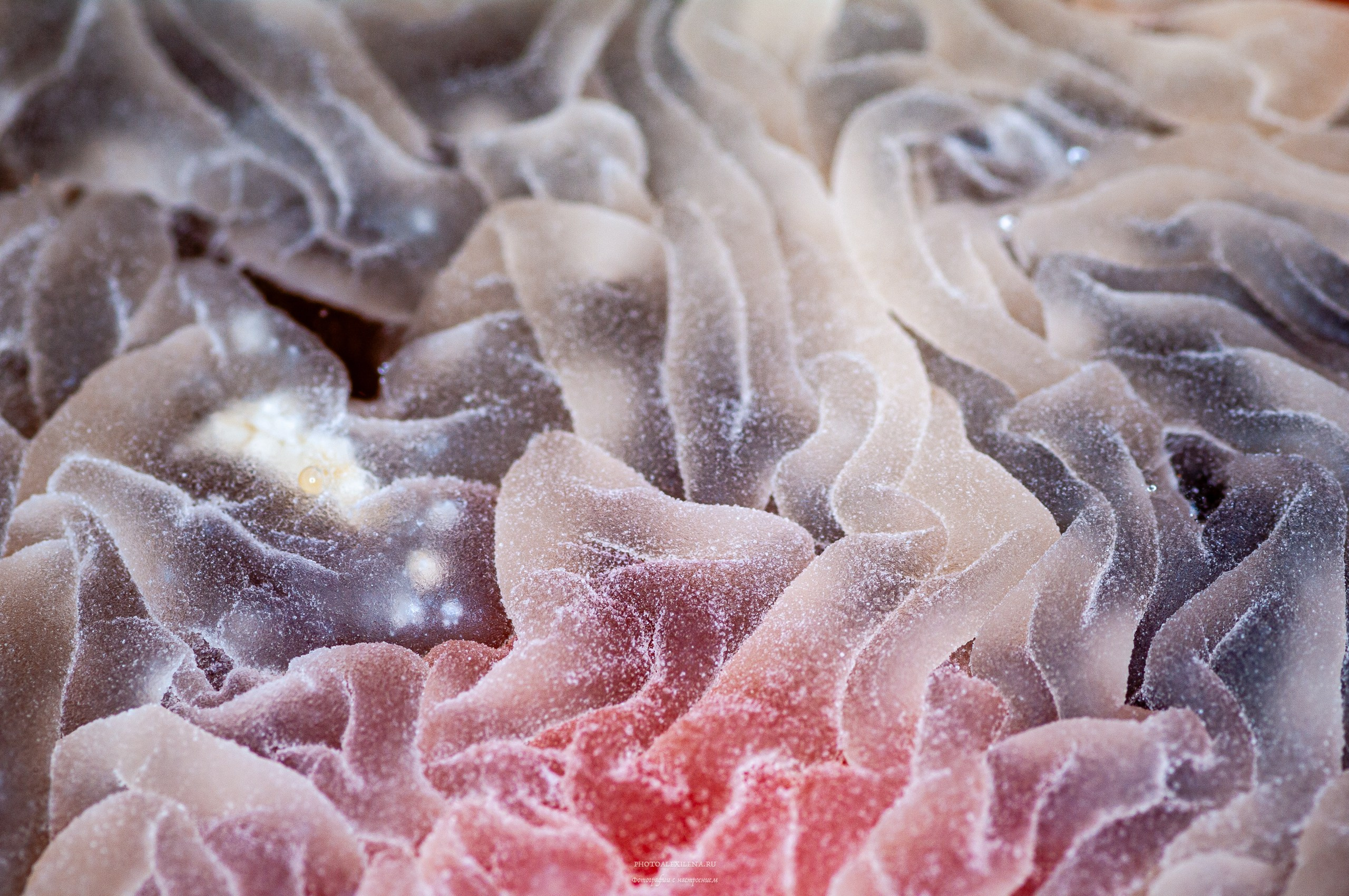 Осязаемая красота. Авторские стильные фотокартины