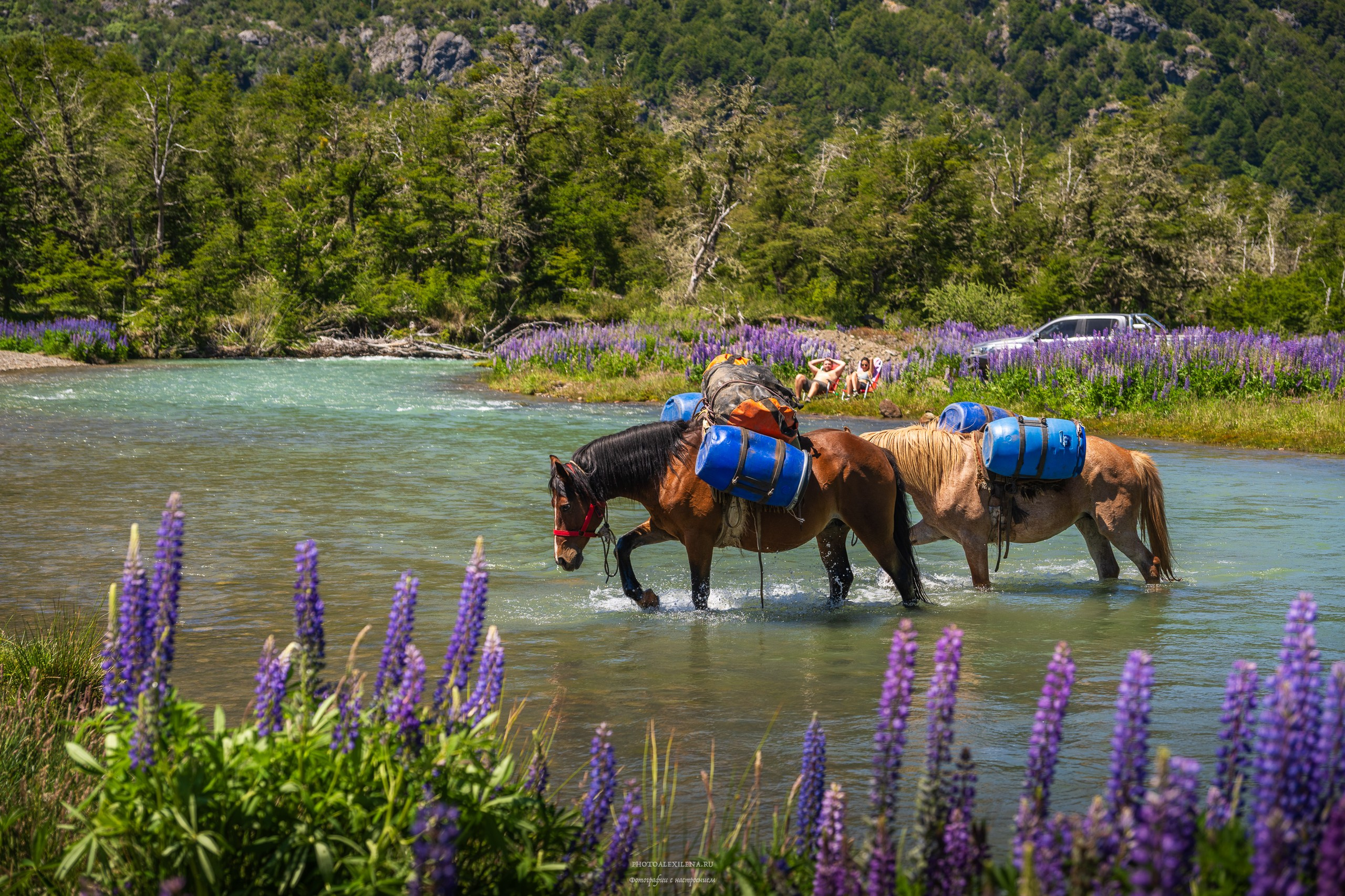 Озёрный край Барилоче. Авторские стильные фотокартины