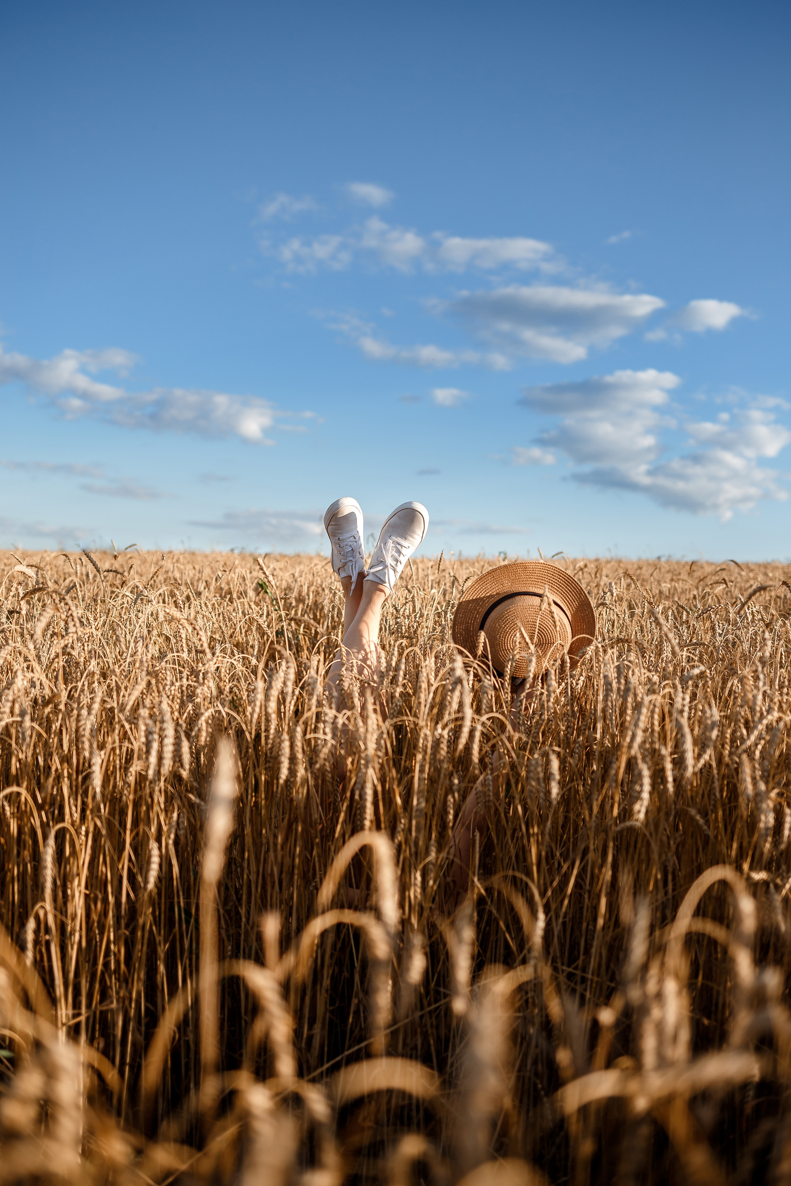 Аня и пшеница. Семейный фотограф в Саратове Юлия Охотникова