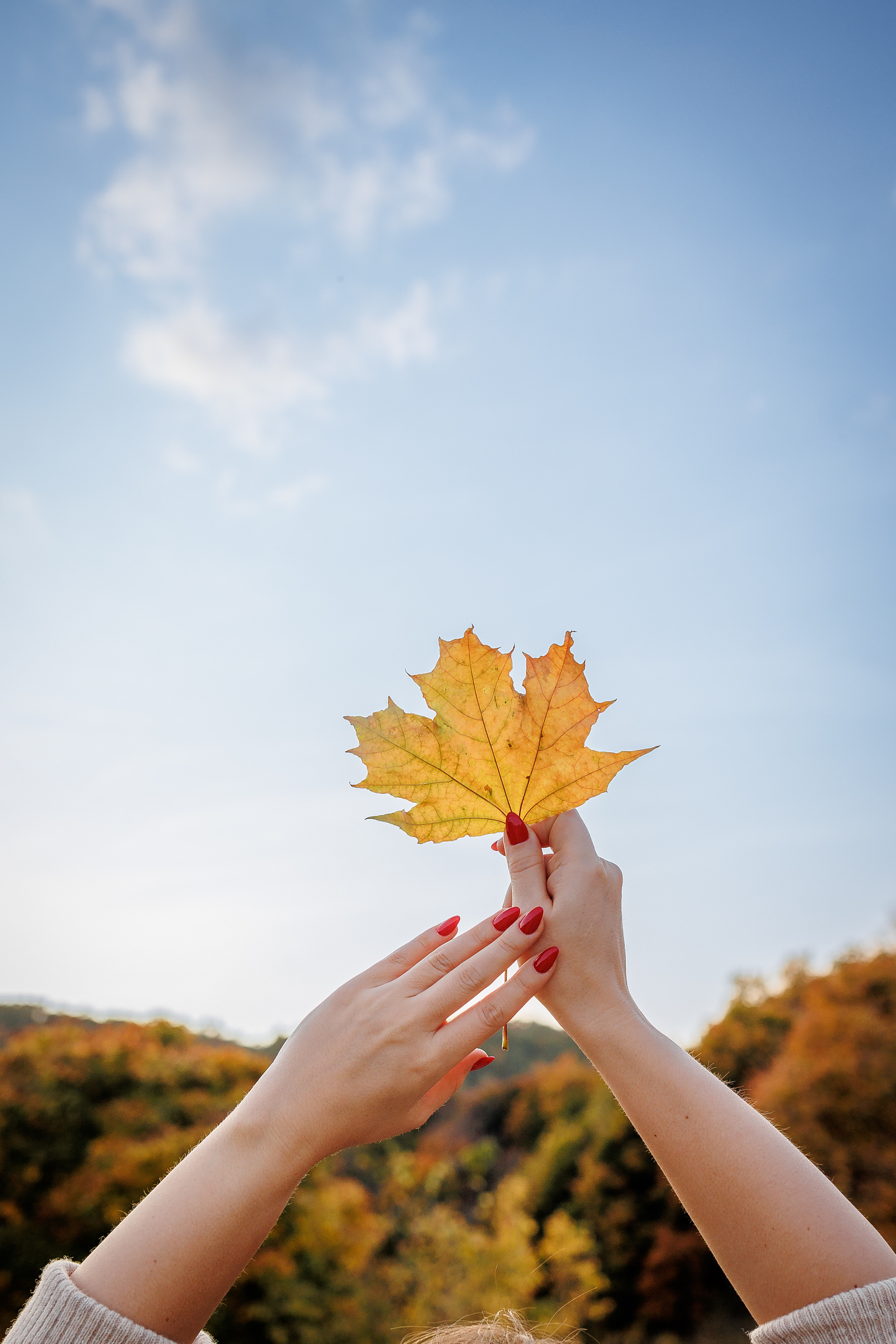 Осенняя прогулка. Семейный фотограф в Саратове Юлия Охотникова