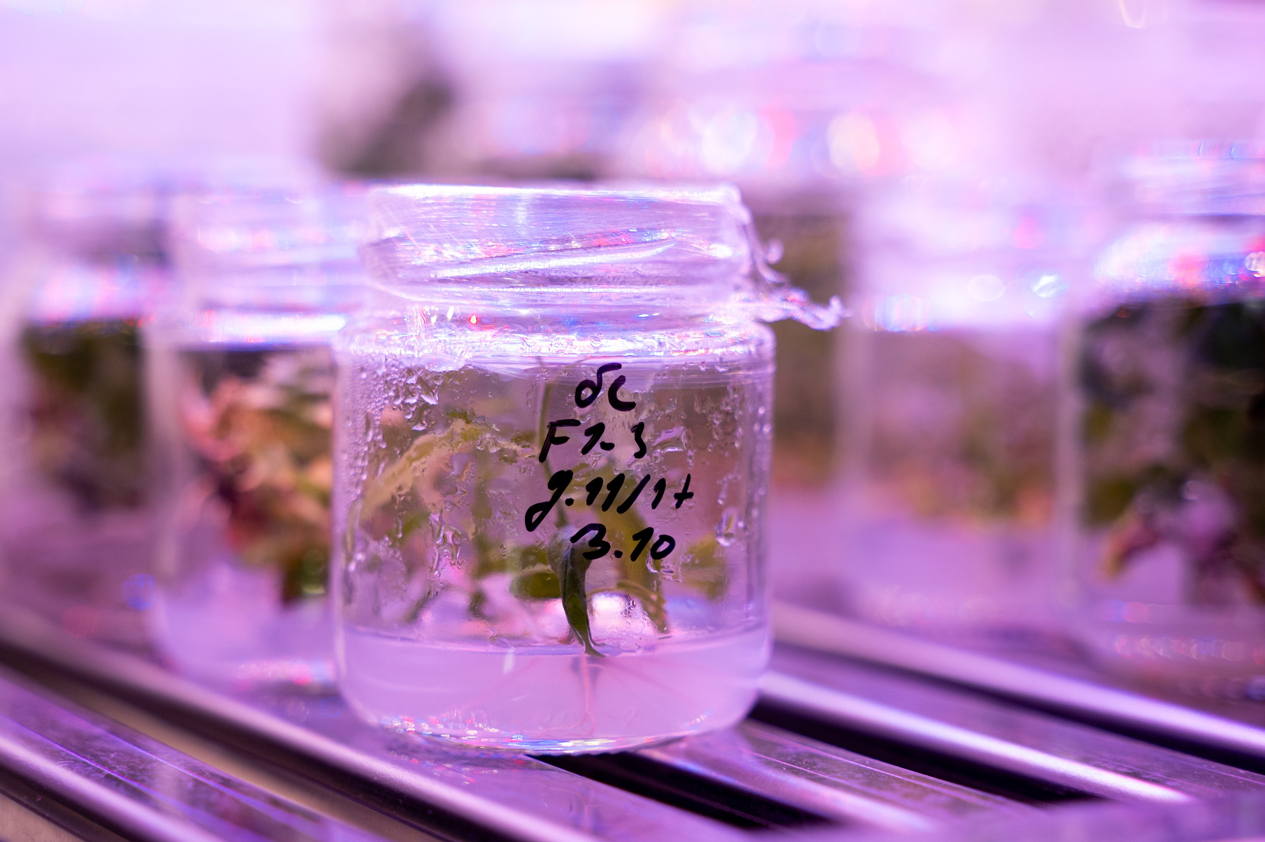 Международная конференция РАН