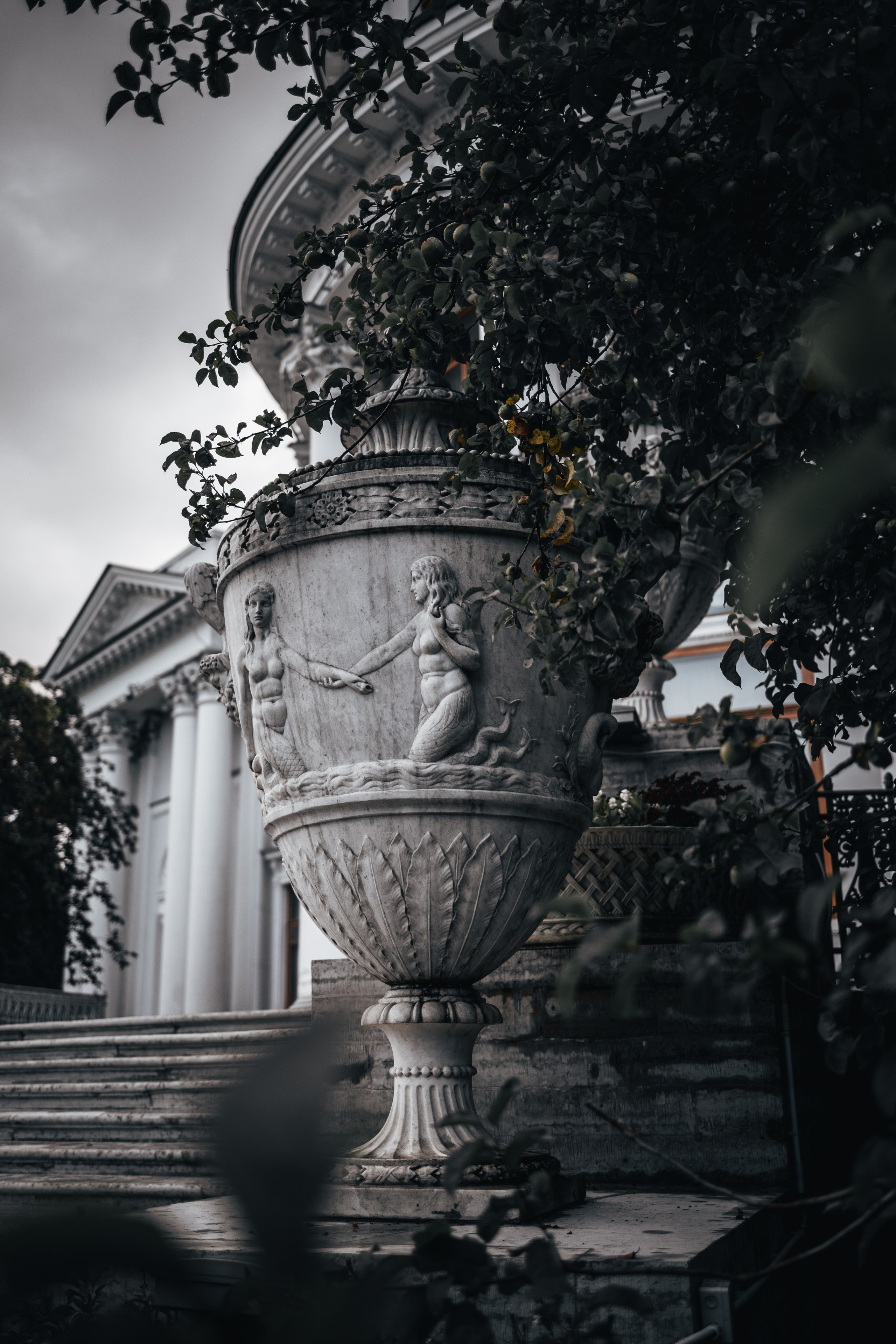 Street. Фотограф в Санкт-Петербурге Шевцов Андрей