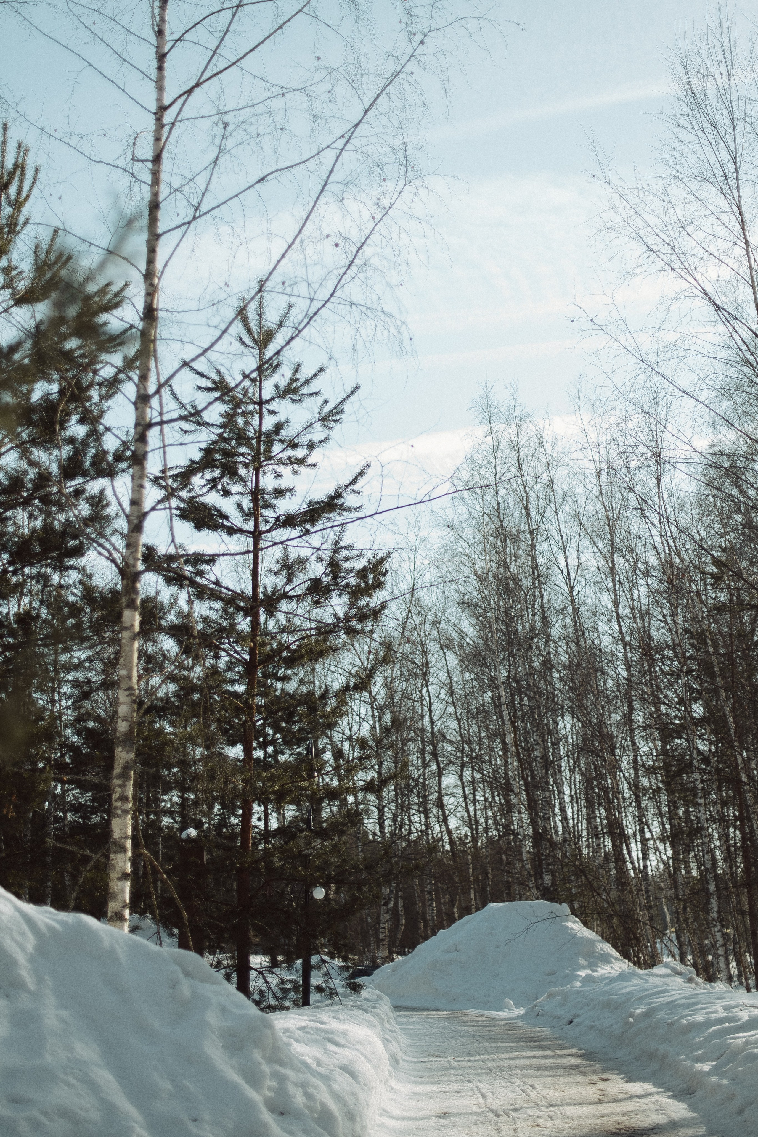 Экопарк ПОЛЯНЫ. Главная