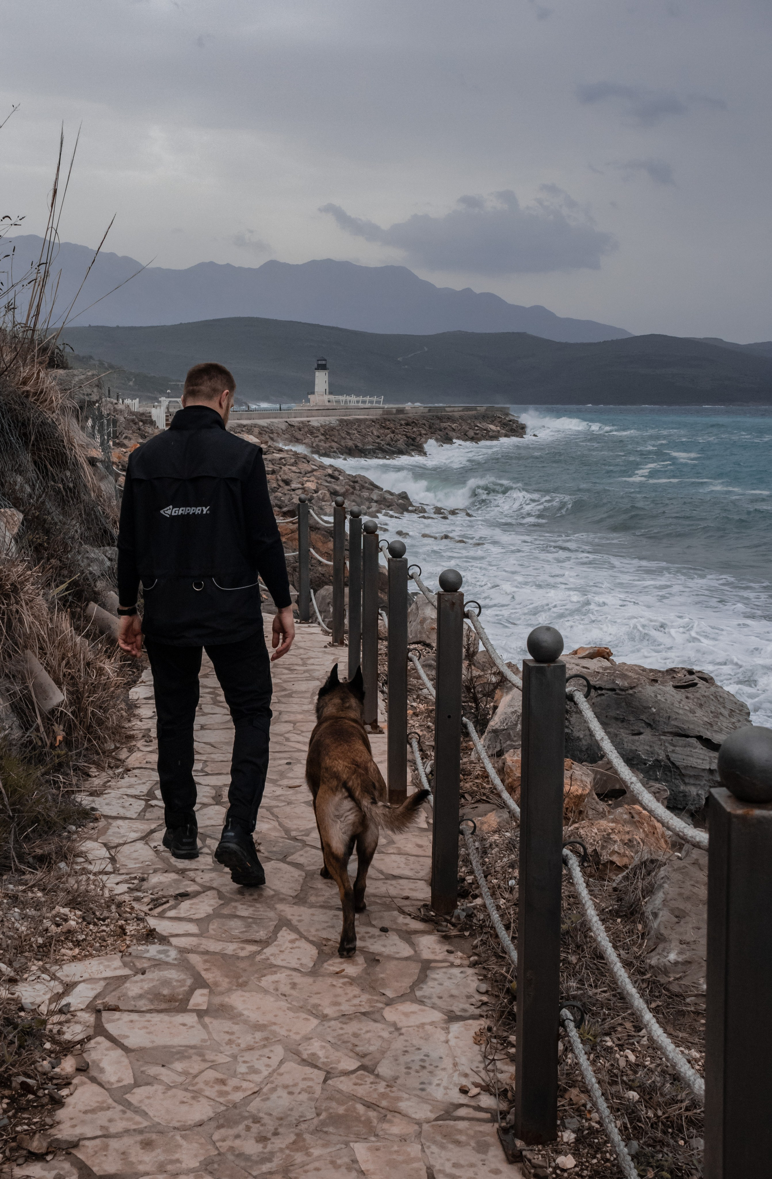 Photoshoot with a dog in Montenegro. Portrait photographer in Tivat Montenegro Katerina Kirsanova