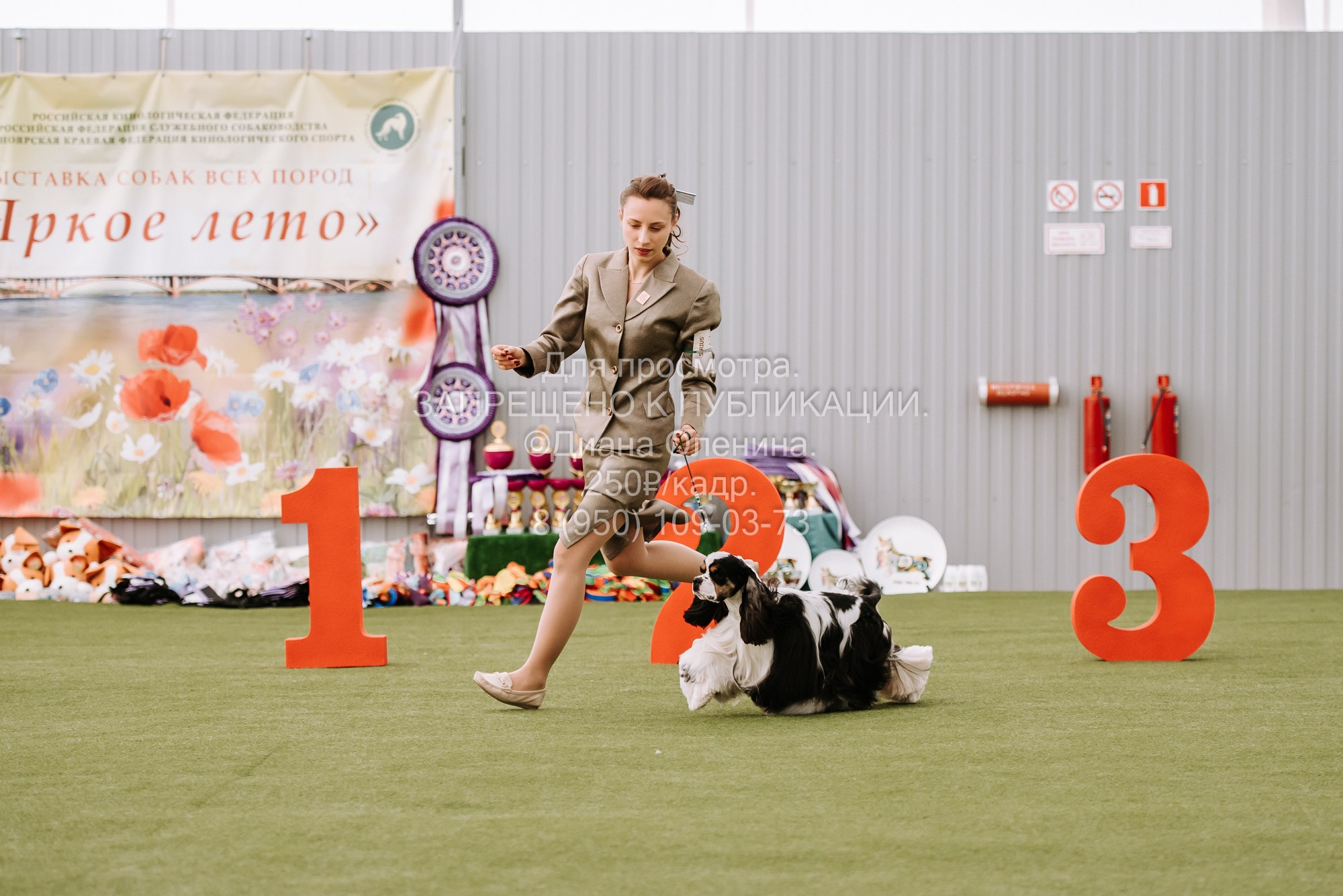 Выставка собак Красноярск 2.06. Фотограф Диана Оленина Красноярск / Братск