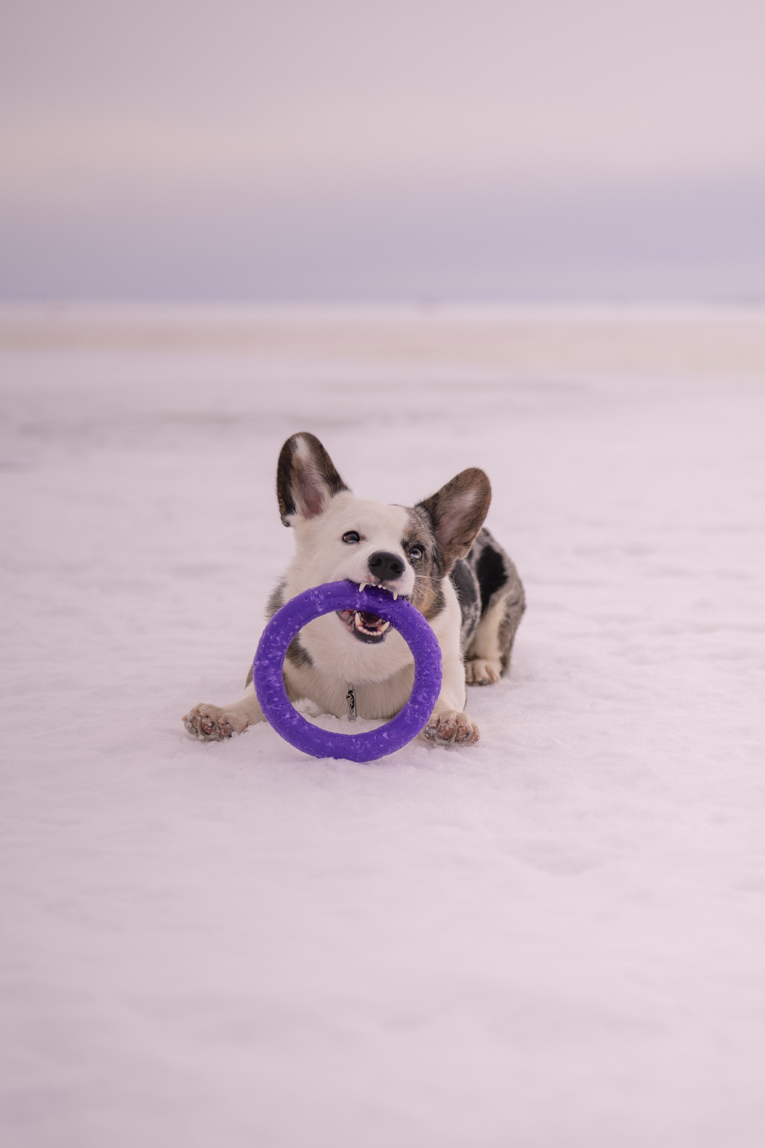 Семейные съемки. Фотограф в Санкт-Петербурге Александра Ладыгина