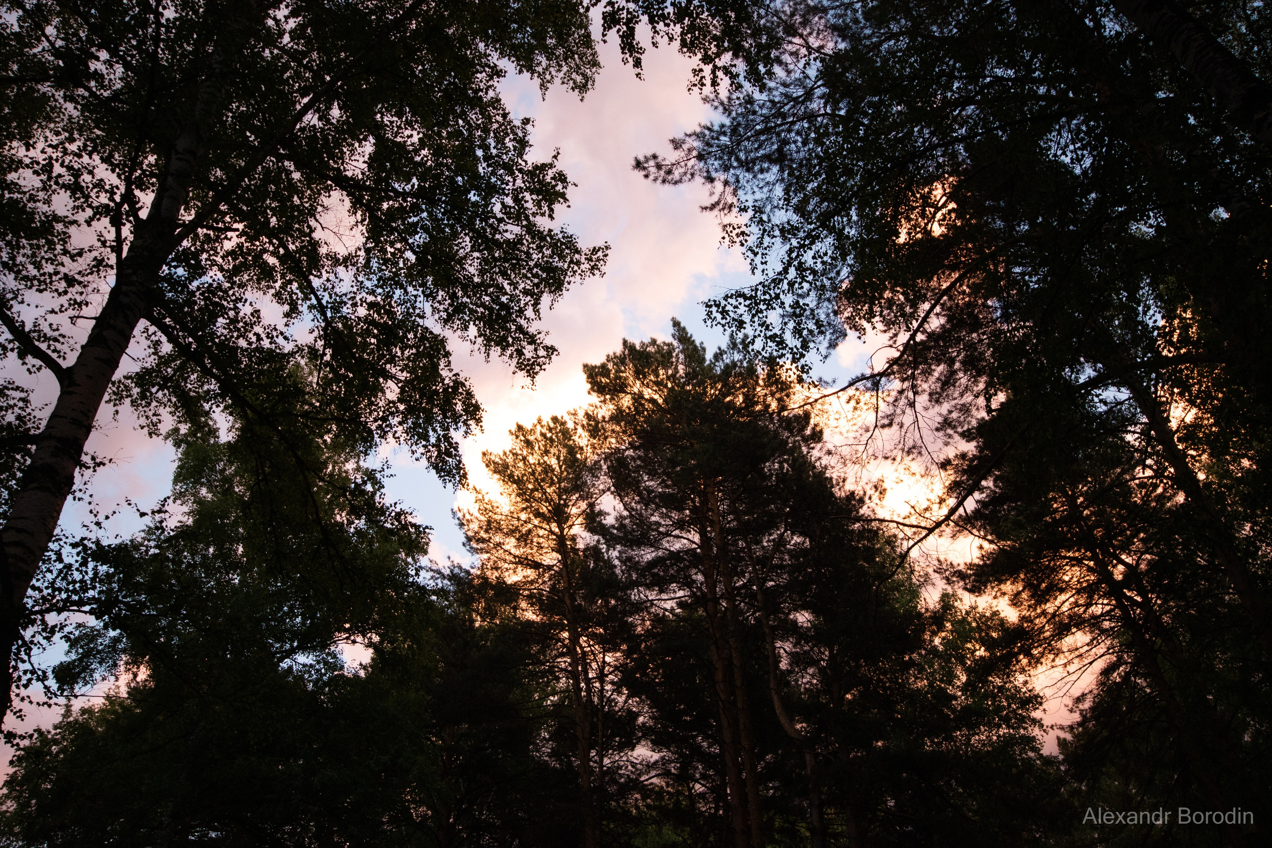 Пейзажи. Профессиональный фотограф Александр Бородин