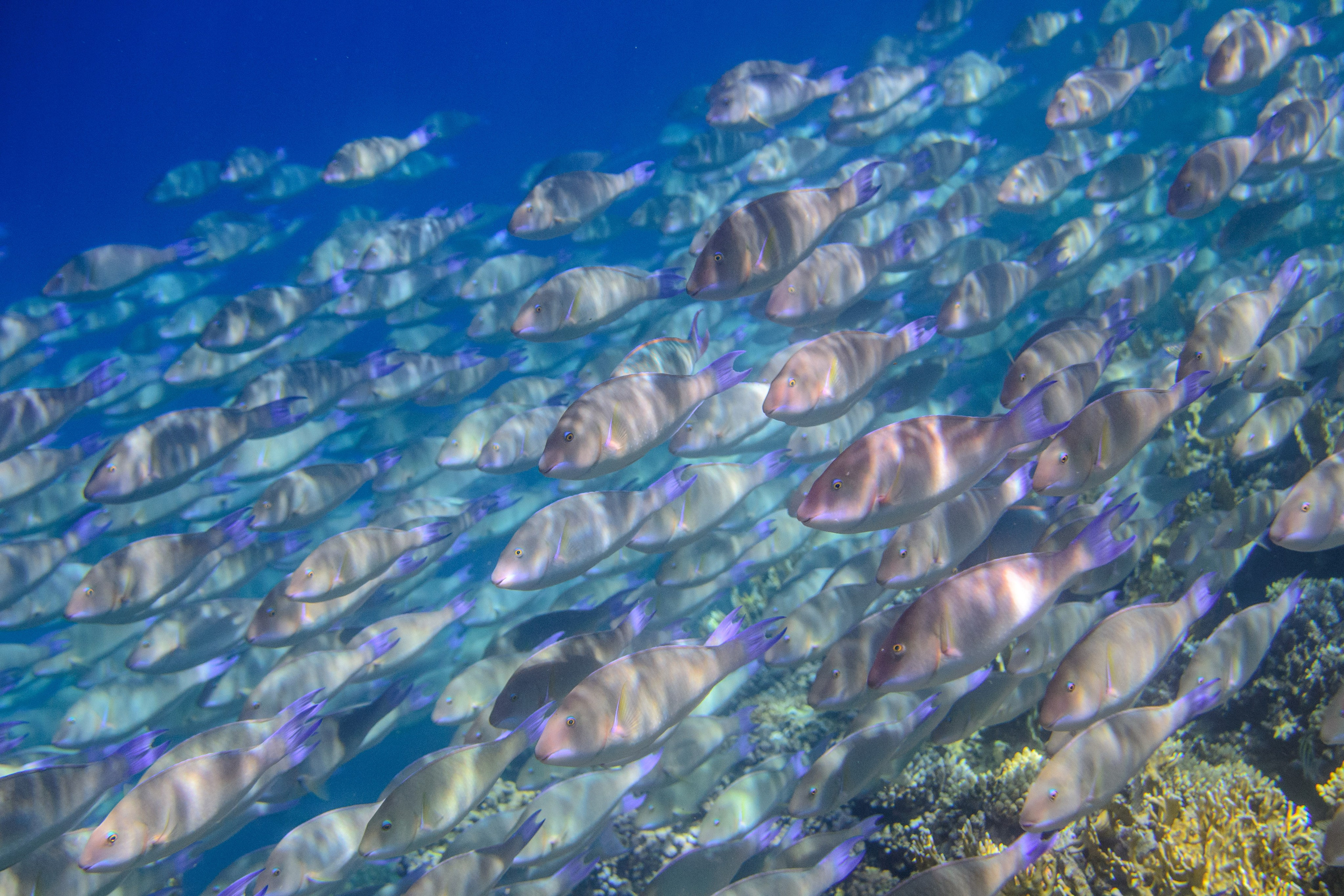 Море. Фотограф в Санкт-Петербурге Ибрагимова Алина