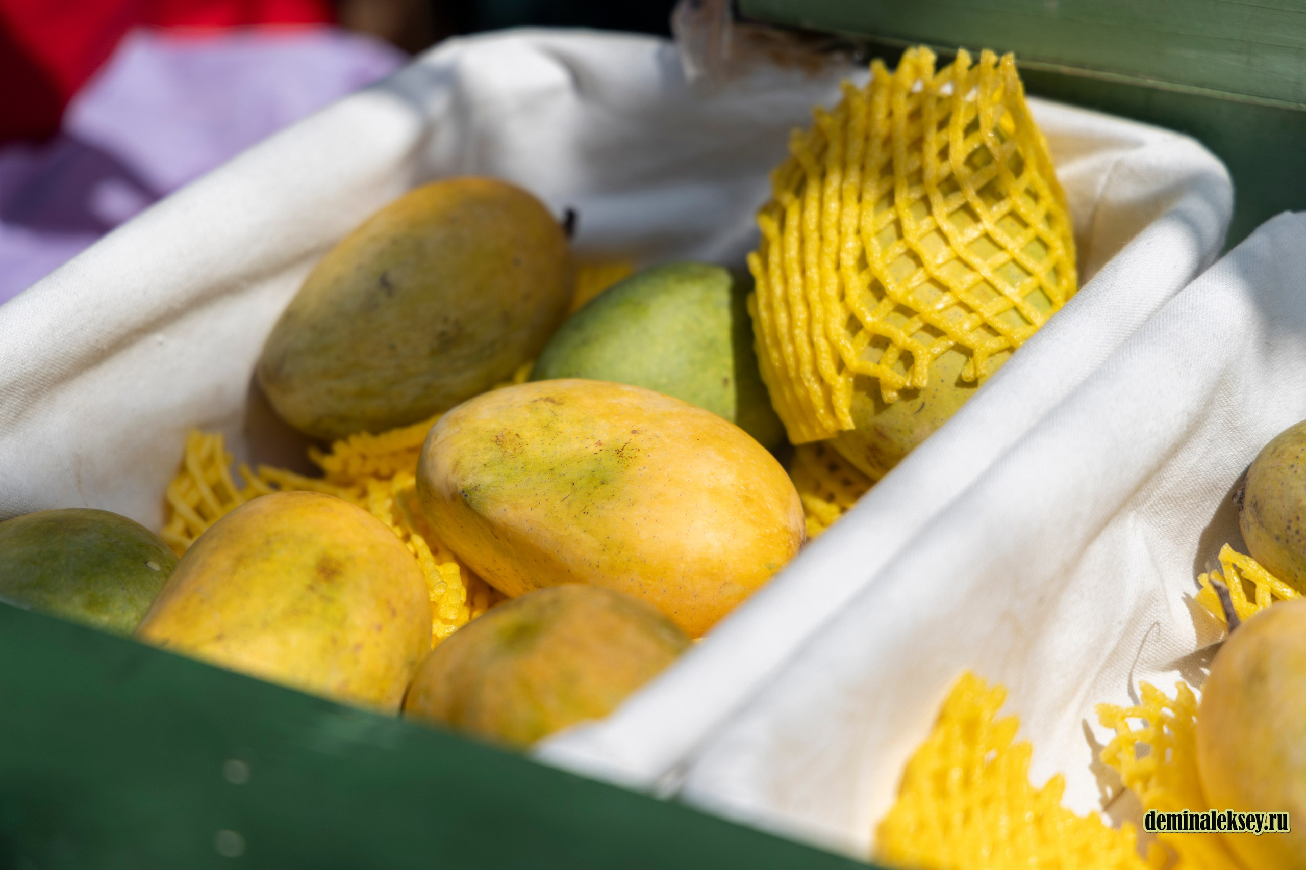 Фестиваль Дни индии на Манежной площади. Репортажный, семейный и студийный фотограф в Москве Демин Алексей