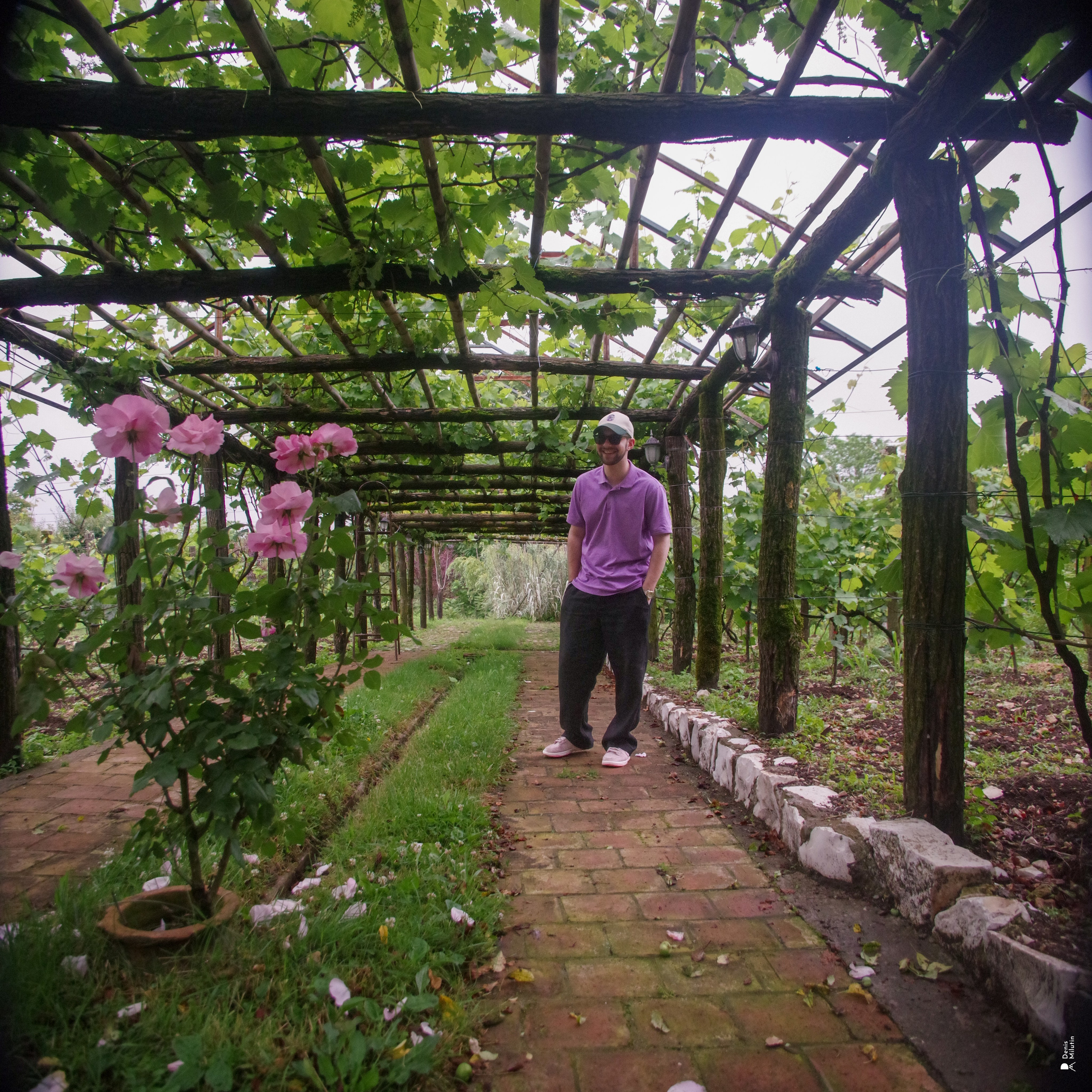 Хони. Портретный фотограф Денис Милютин