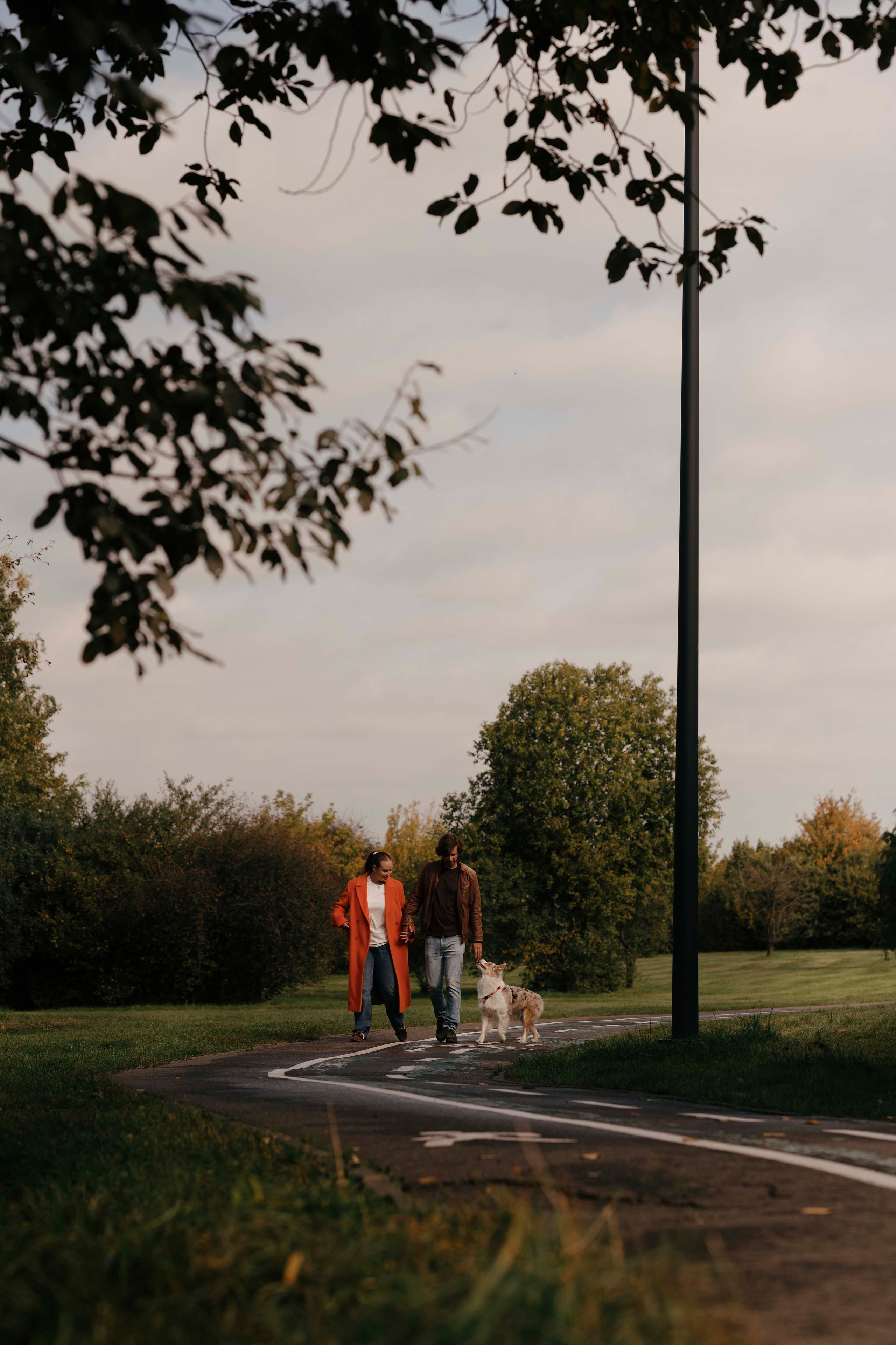 Дженни. Фотограф- анималист Александра Матвеева