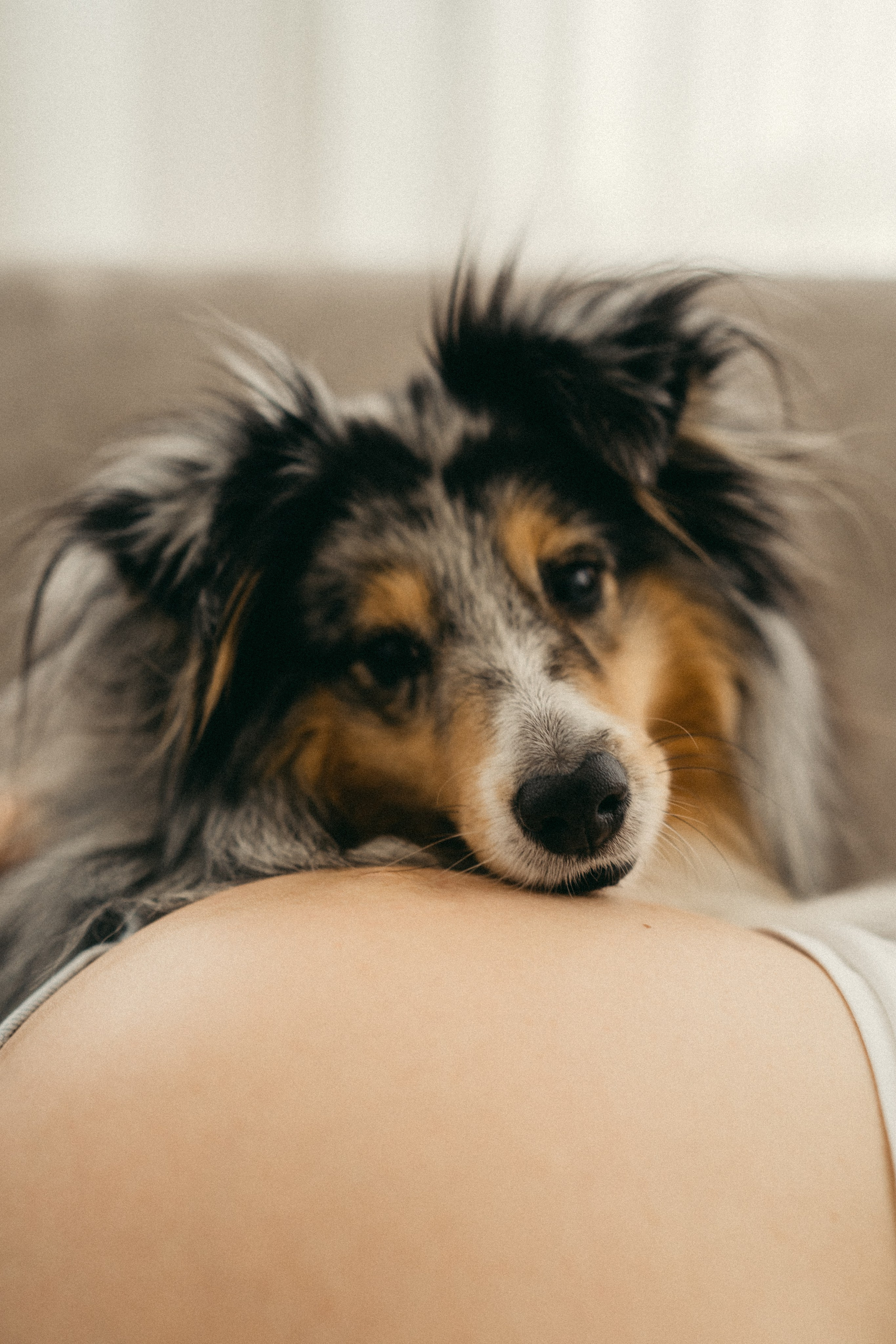 Аня & Гоша. Свадебный и семейный фотограф в Москве Ксения Шведова