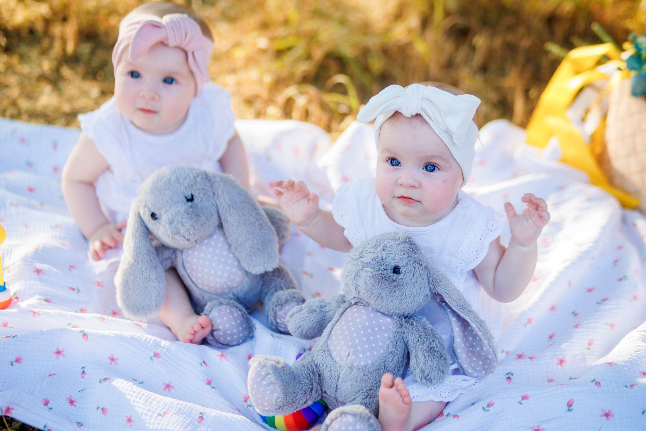 Прогулка на природе. Свадебный и семейный фотограф в Армавире