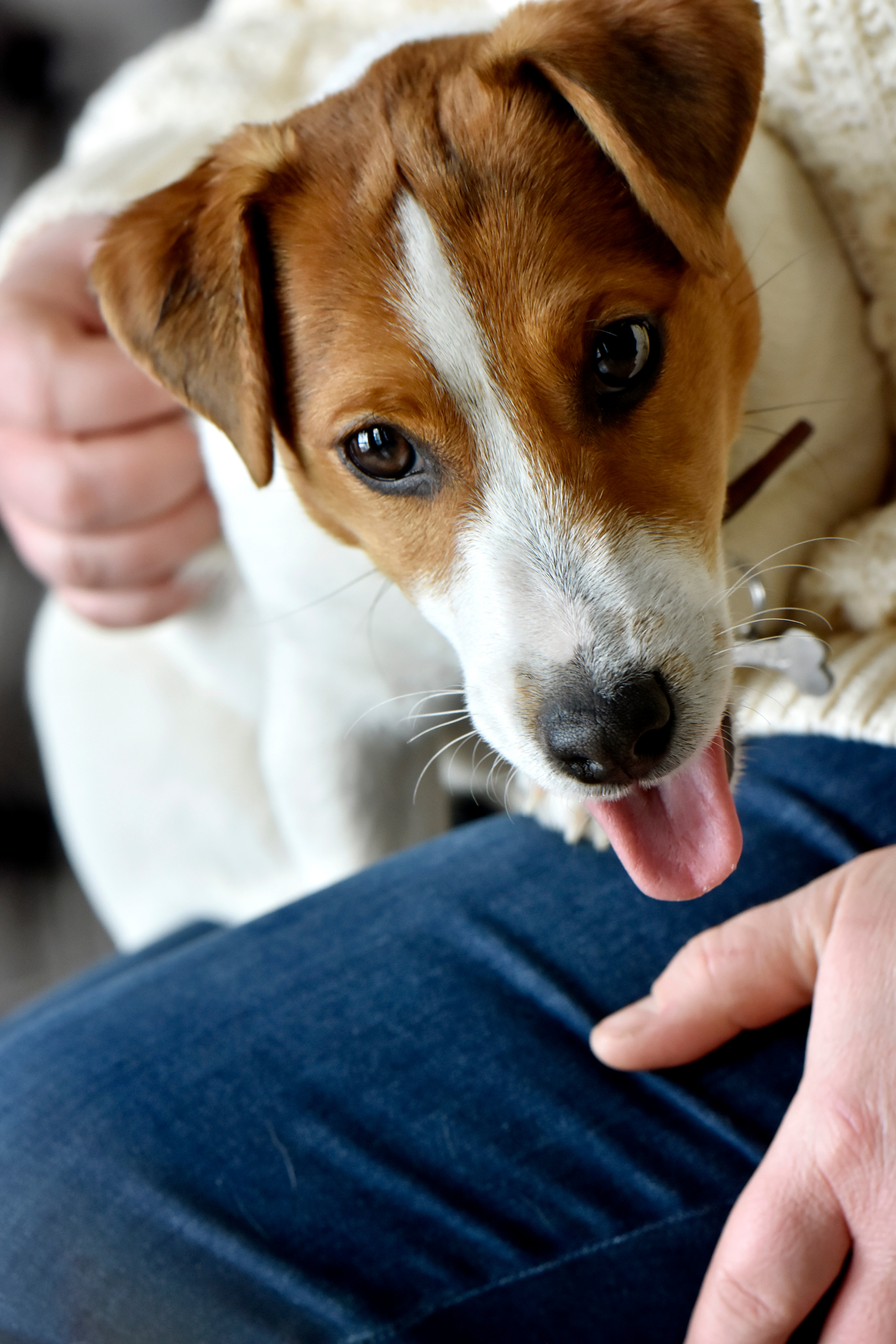 Наталья и ее питомцы