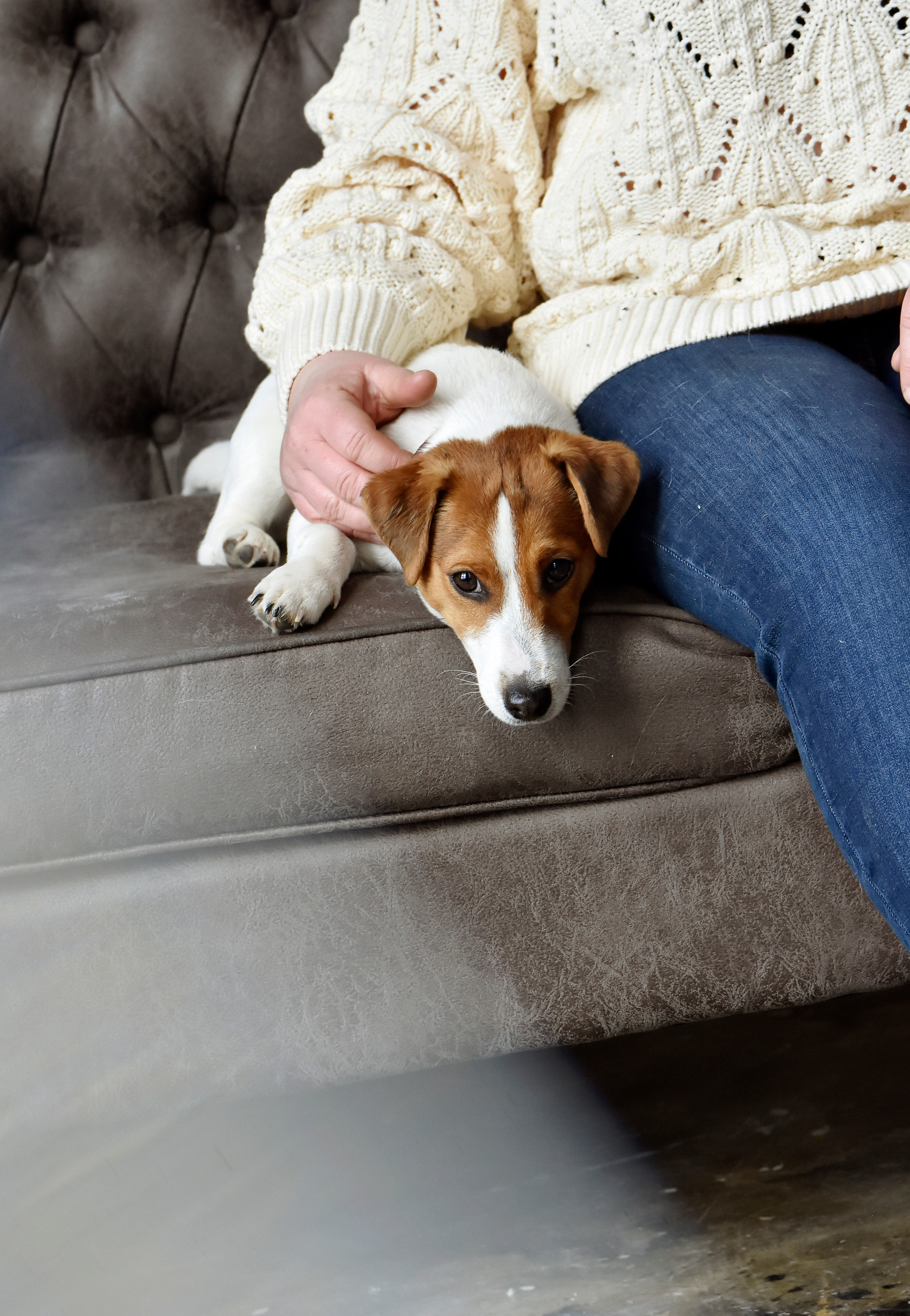 Наталья и ее питомцы