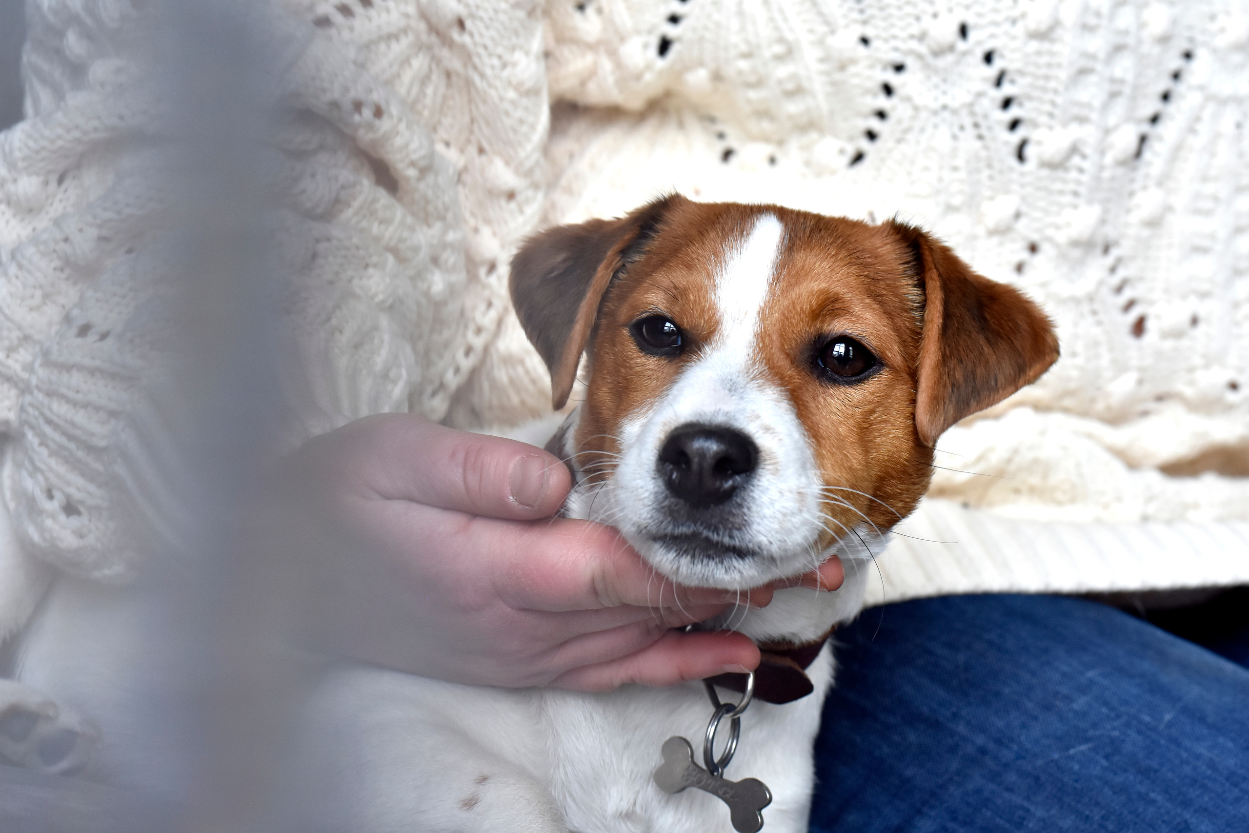 Наталья и ее питомцы