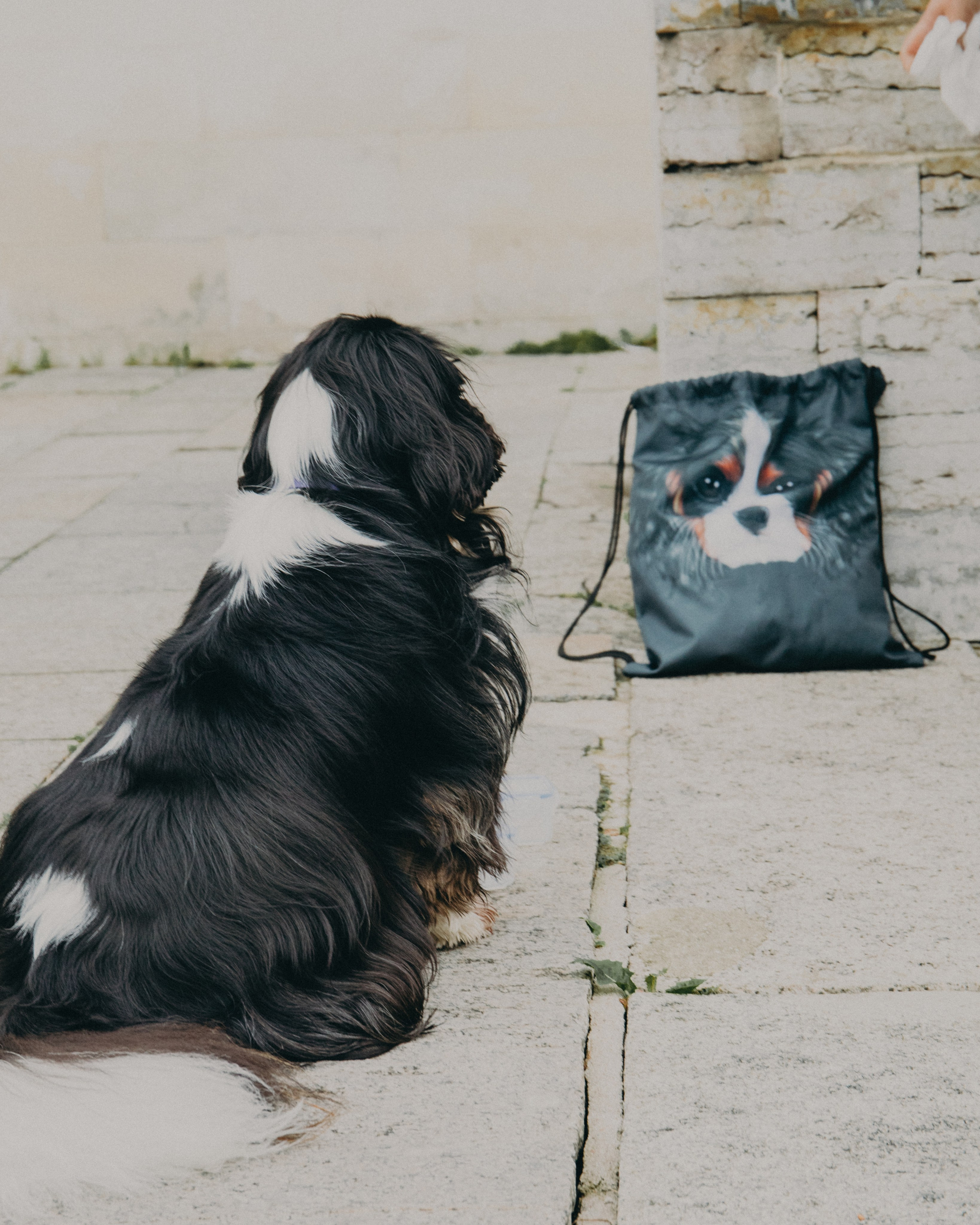 Гилдин. Портретный фотограф Ванинен Анастасия. Санкт-Петербург