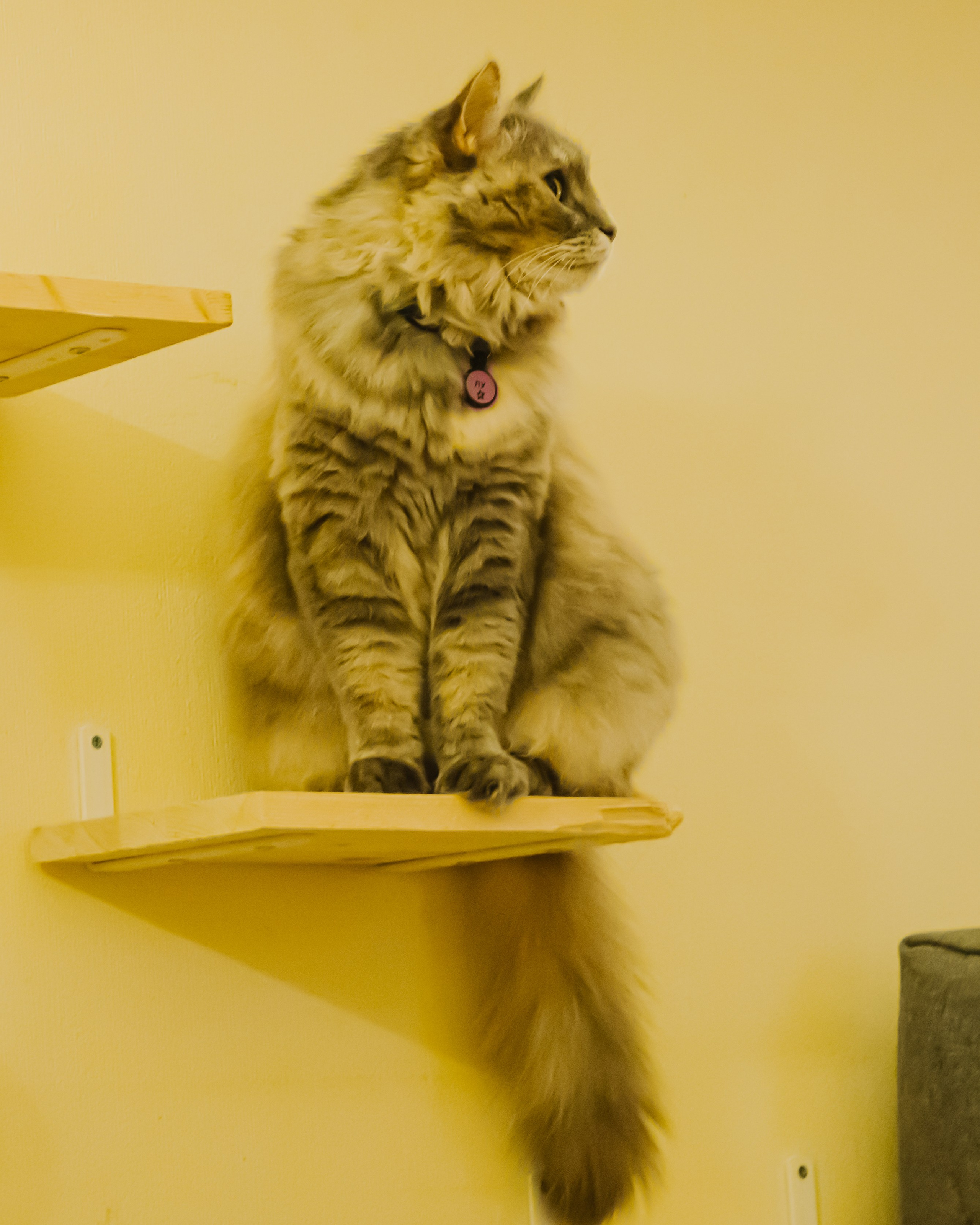 Гилдин. Портретный фотограф Ванинен Анастасия. Санкт-Петербург