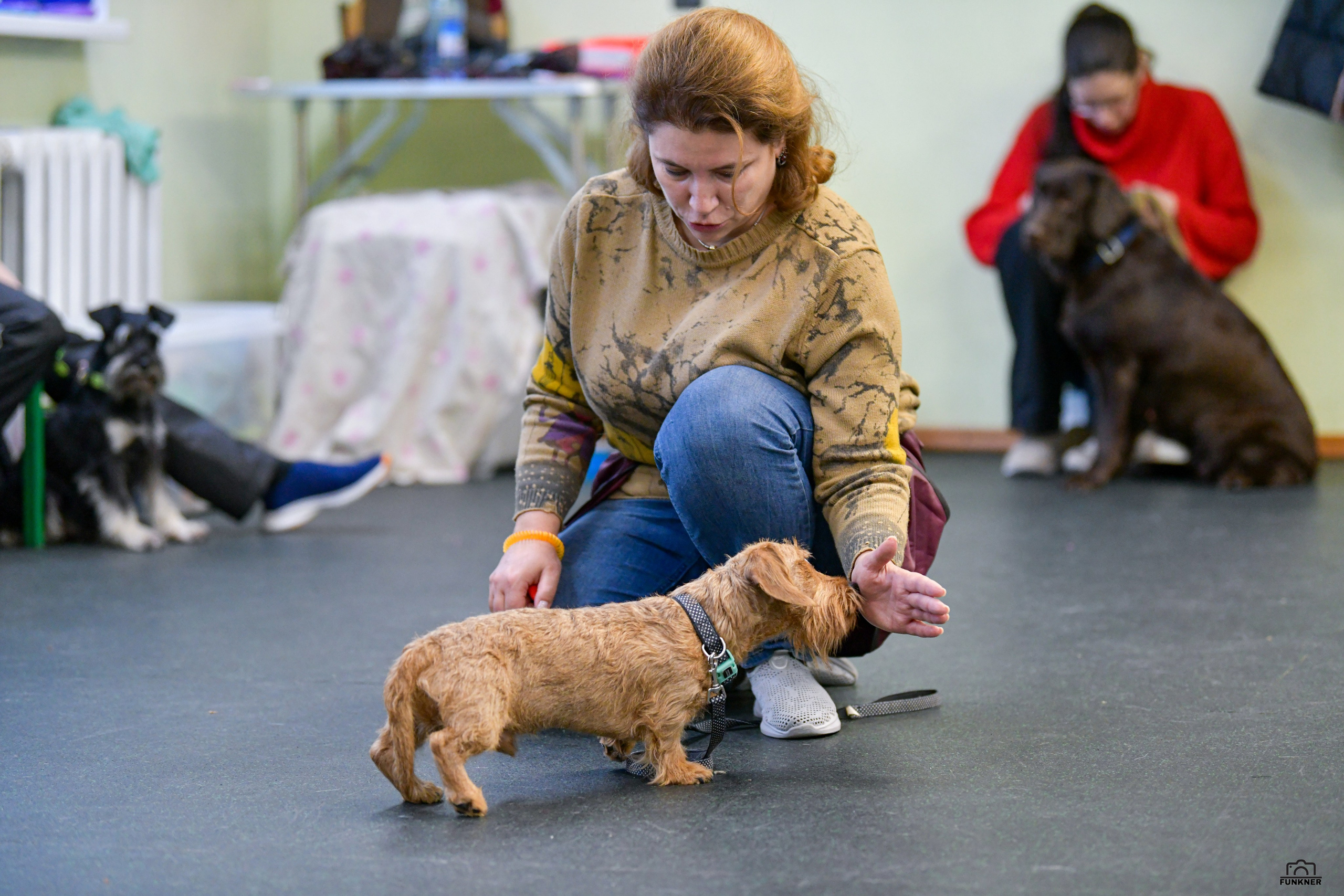 Кинологический клуб «Бодрый хвост». Свой взгляд через объектив